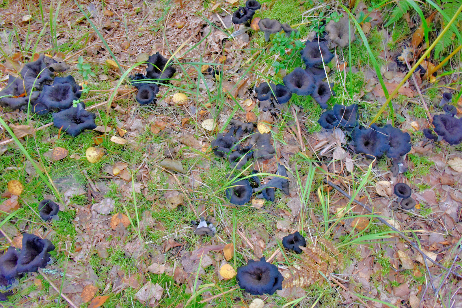 Valokuvaaja: Reijo Juurinen Valokuvaaja: Reijo Juurinen