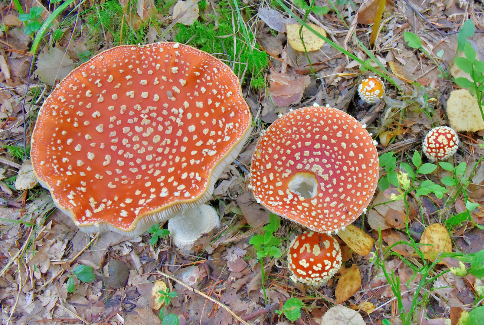 Valokuvaaja: Reijo Juurinen