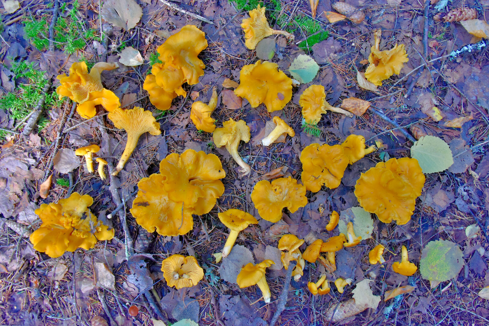 Valokuvaaja: Reijo Juurinen