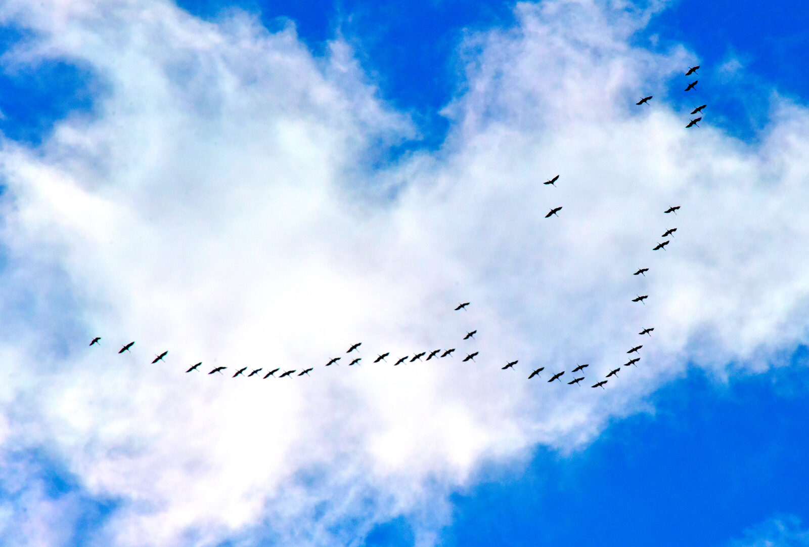 Valokuvaaja: Reijo Juurinen