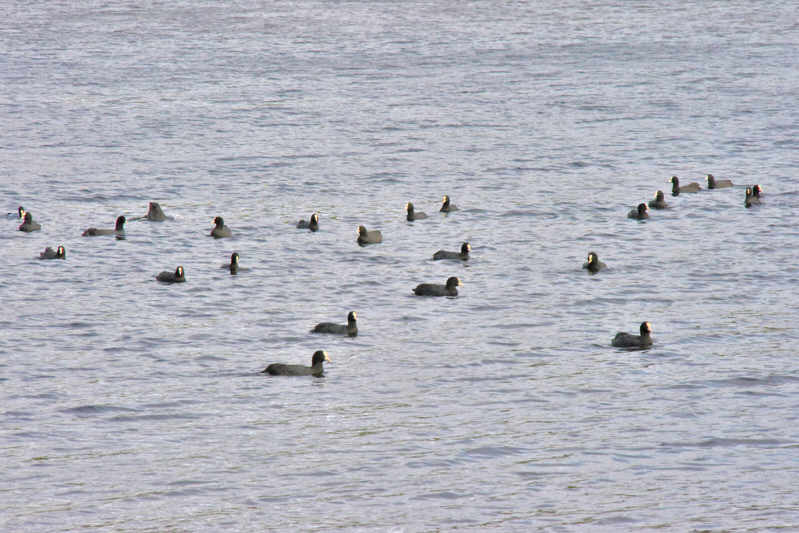 Valokuvaaja: Reijo Juurinen