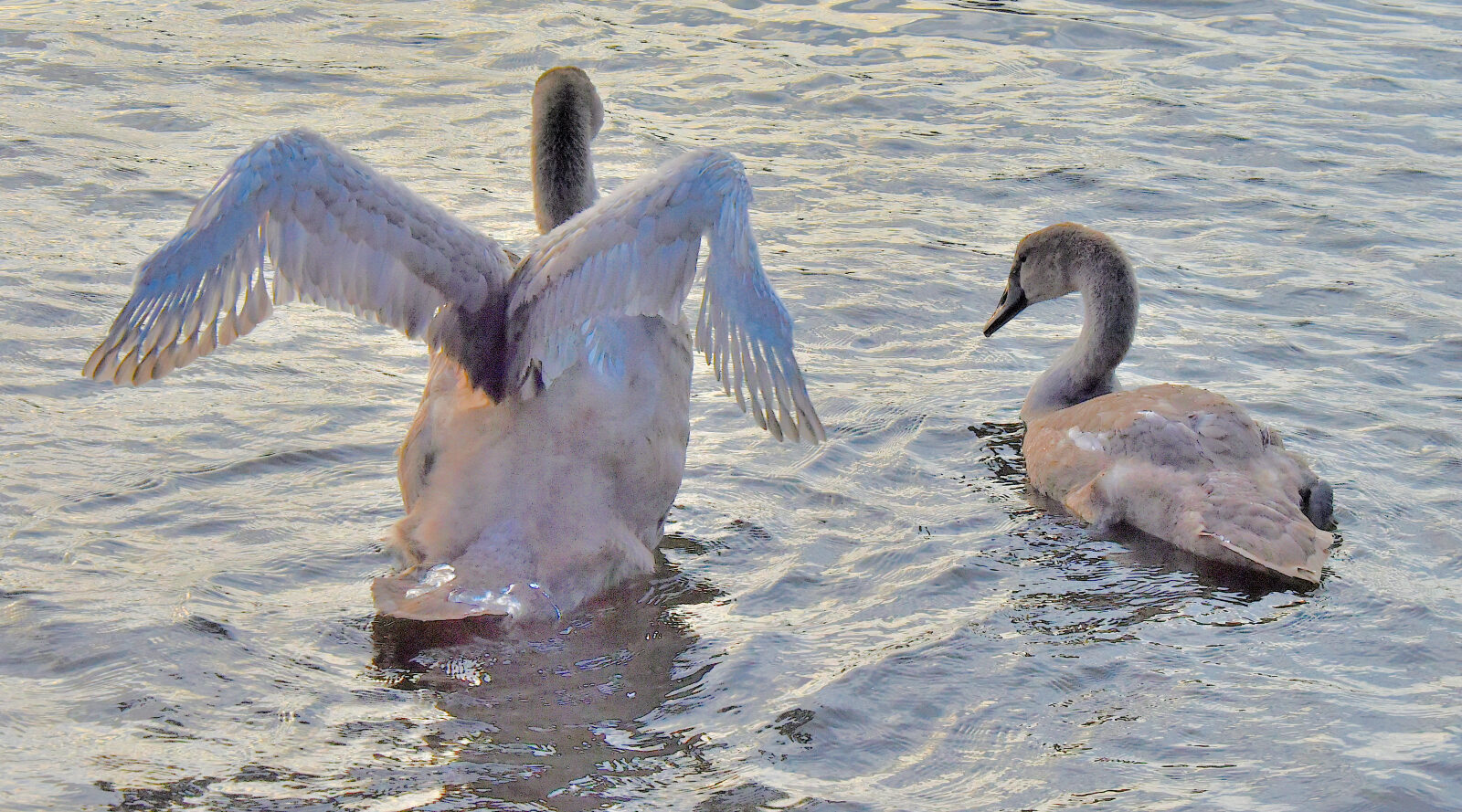 Valokuvaaja: Reijo Juurinen