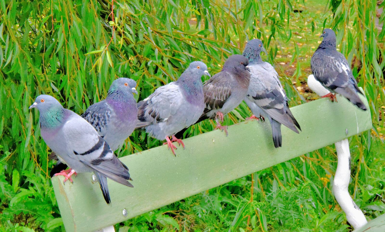 Valokuvaaja: Reijo Juurinen
