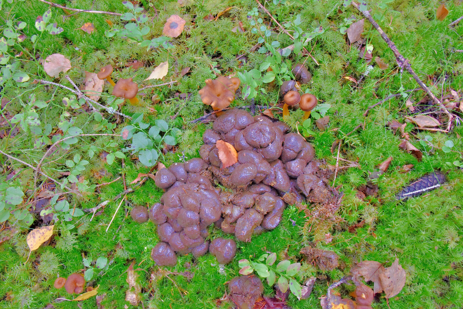 Valokuvaaja: Reijo Juurinen