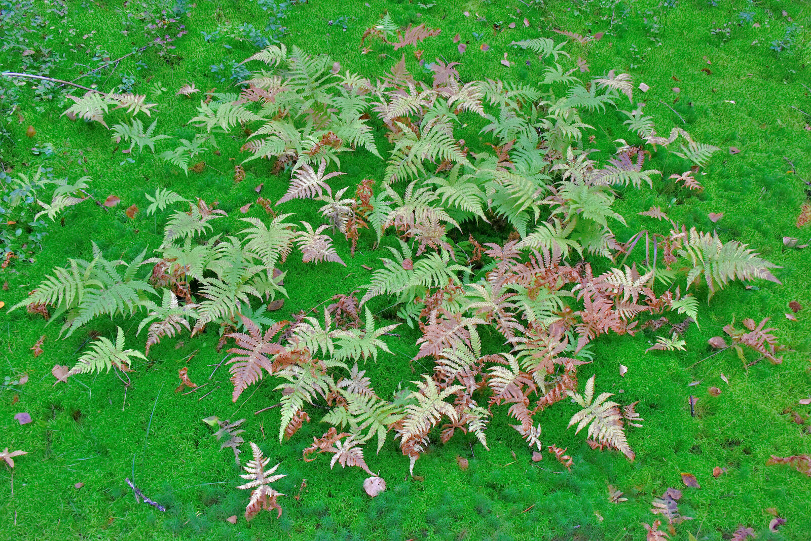 Valokuvaaja: Reijo Juurinen