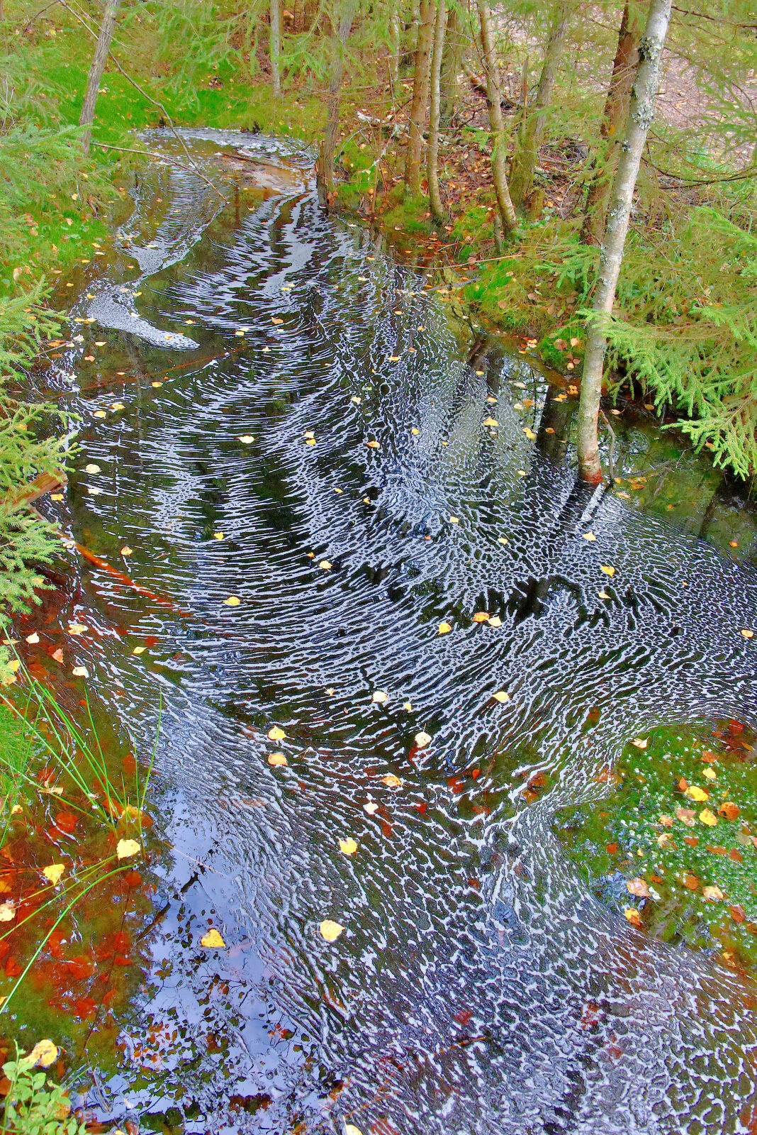 Valokuvaaja: Reijo Juurinen