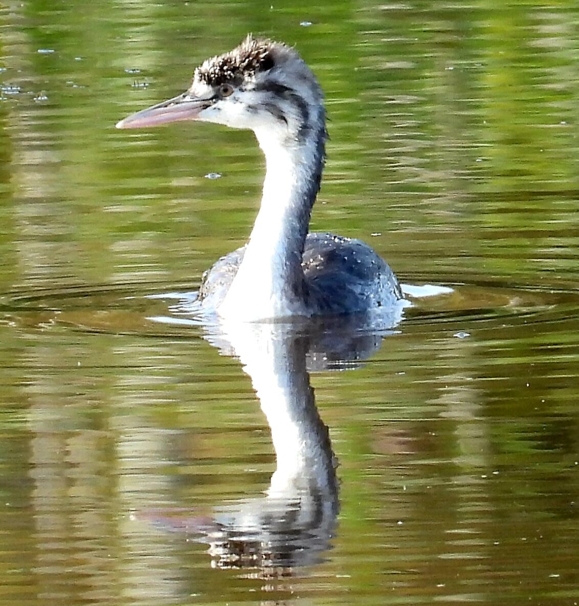 Valokuvaaja: Kaarina Walter Valokuvaaja: Kaarina Walter
