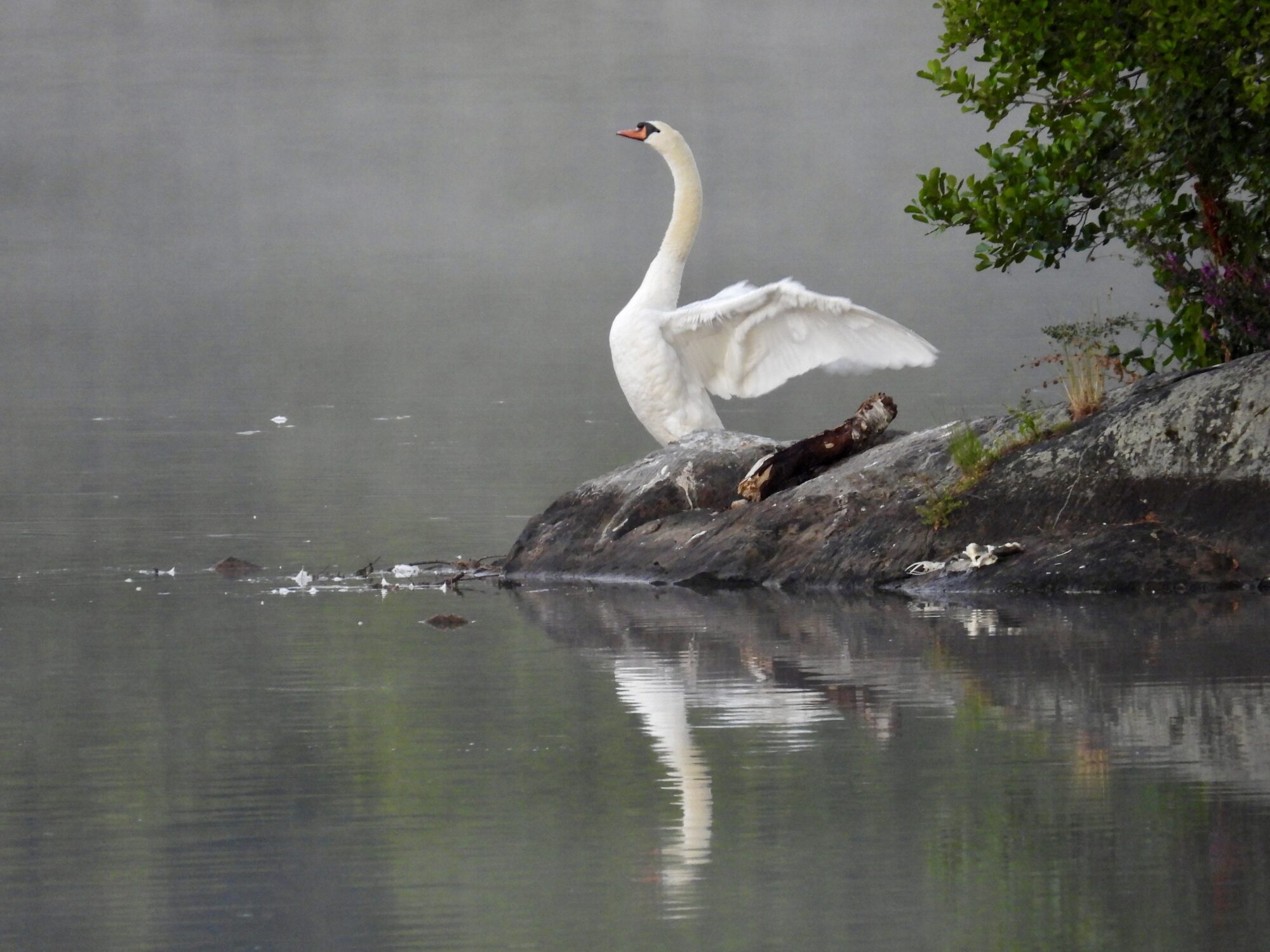 Valokuvaaja: Juhani Peltonen