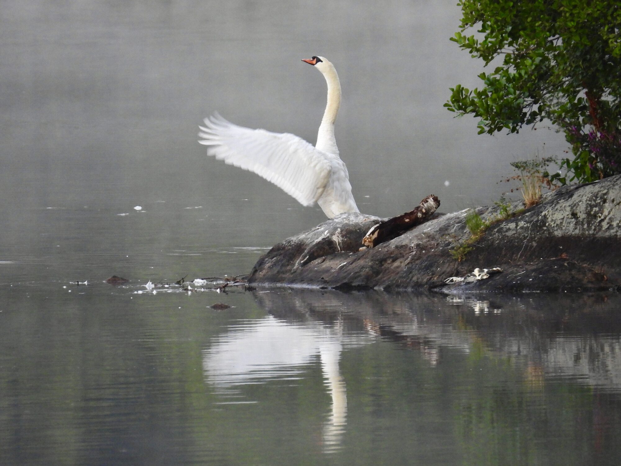 Valokuvaaja: Juhani Peltonen