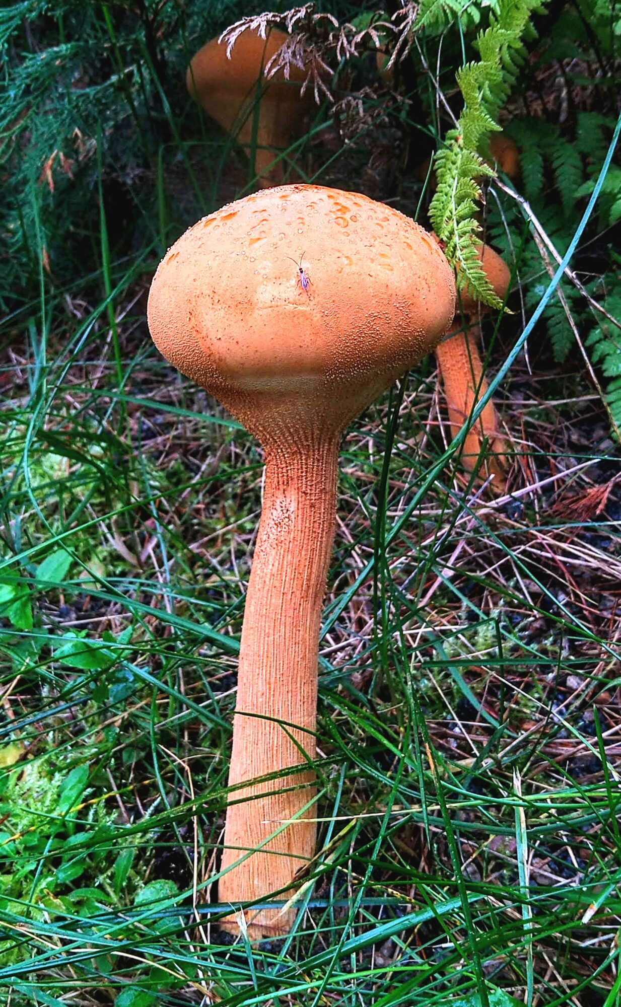 Valokuvaaja: Markku Pelkonen