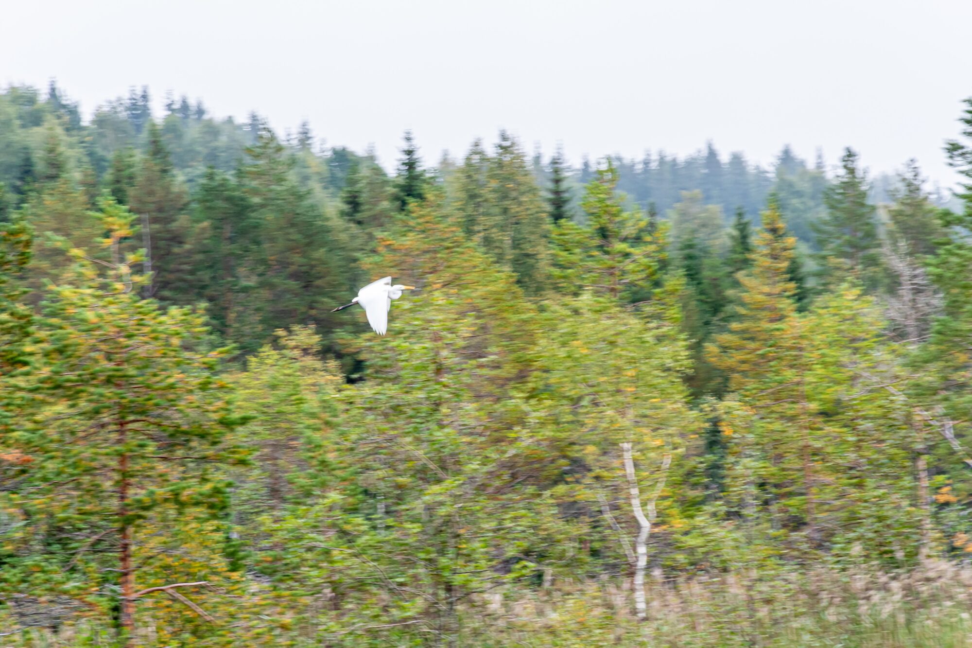 Valokuvaaja: Leena Rissanen