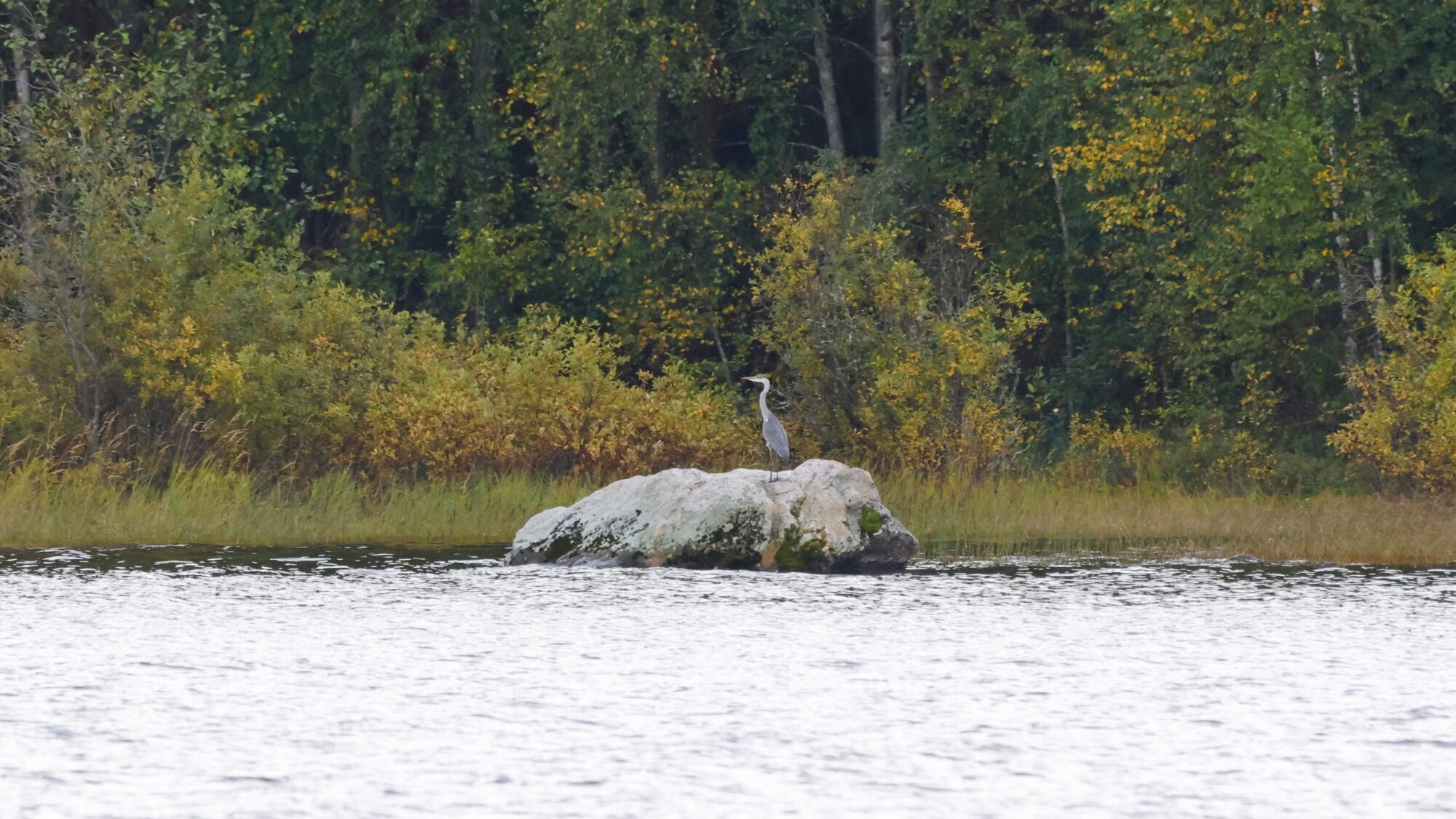 Valokuvaaja: TOMMI KUJALA