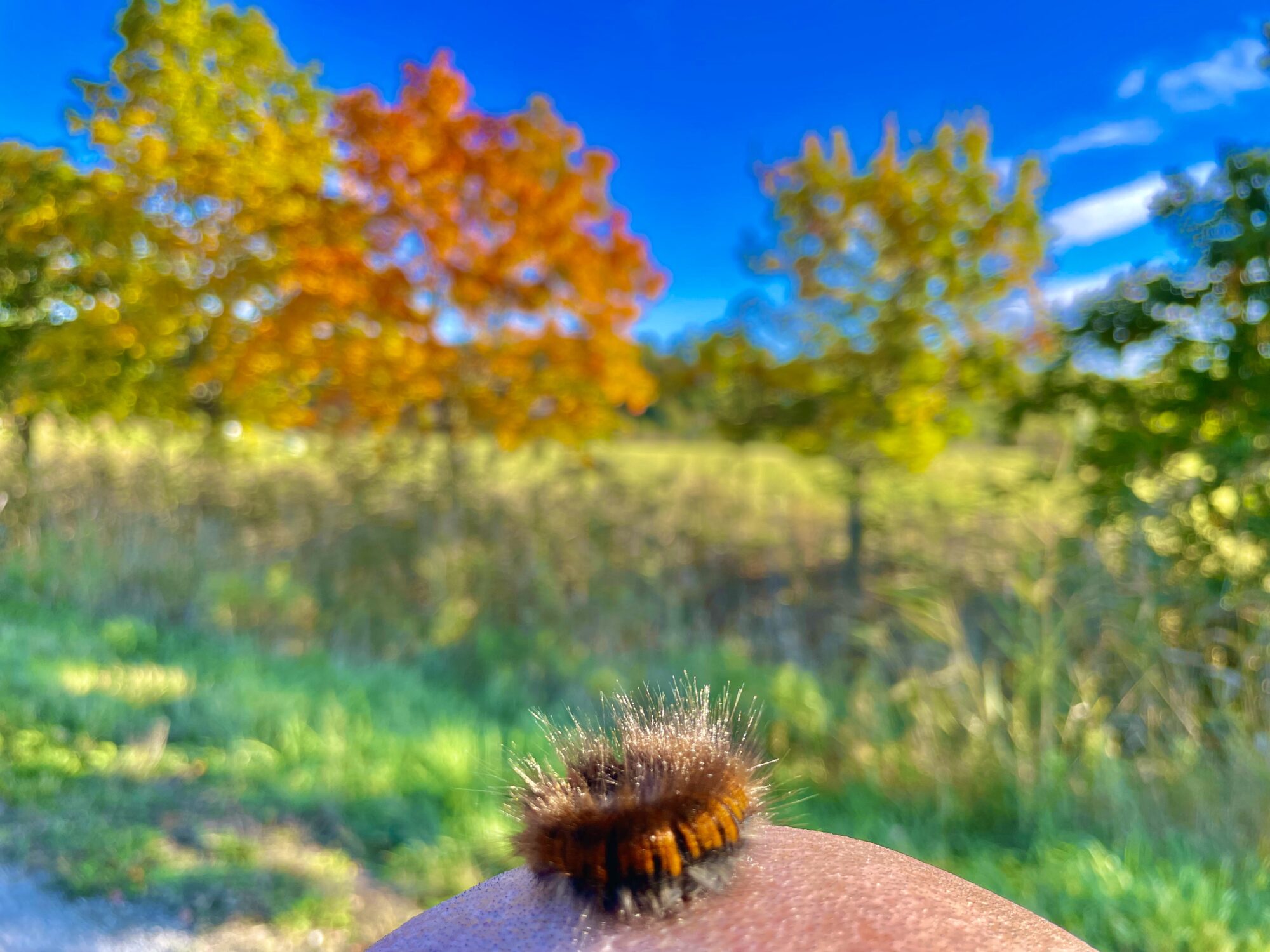 Valokuvaaja: Juhani Peltonen