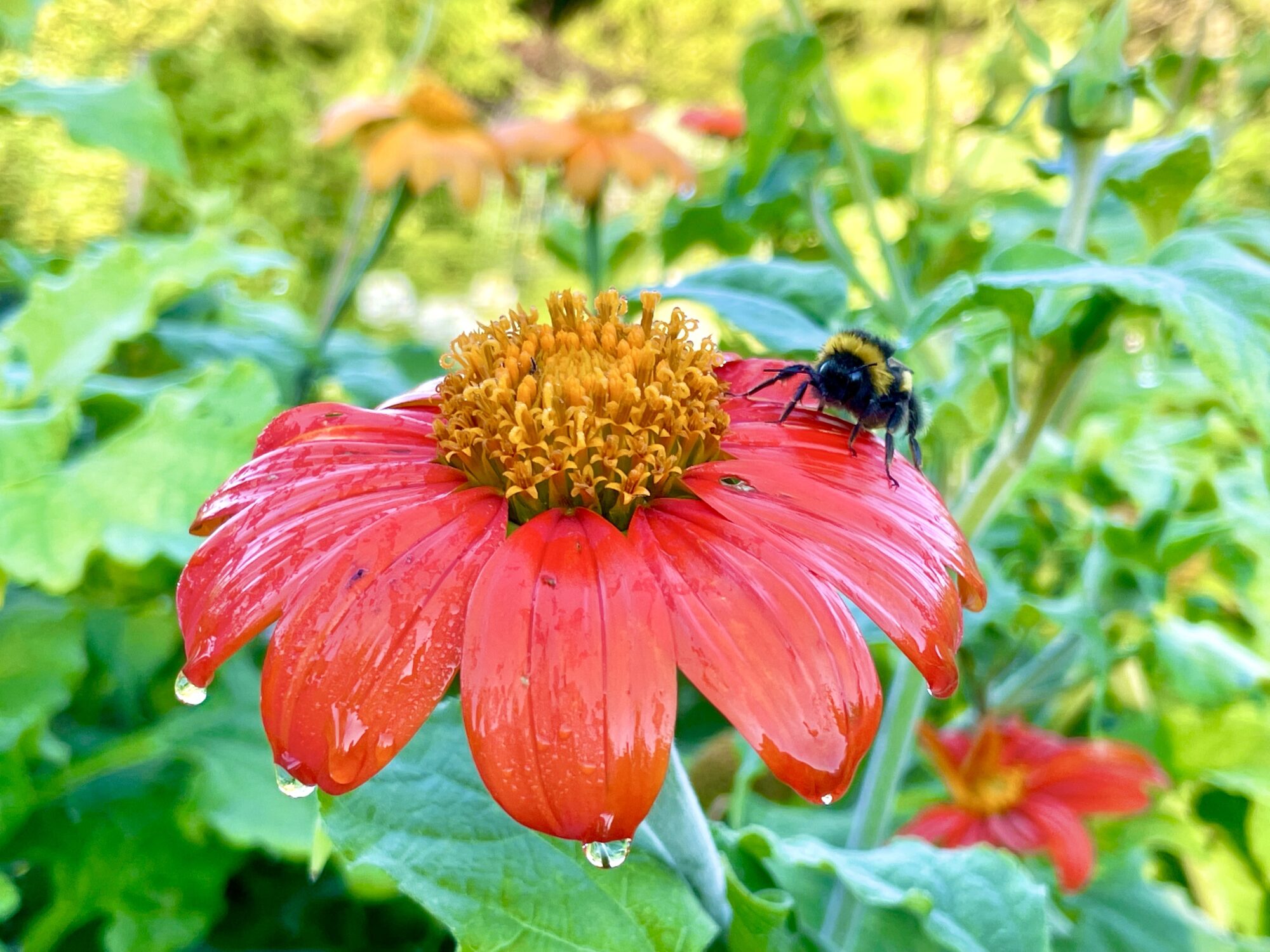 Valokuvaaja: Juhani Peltonen