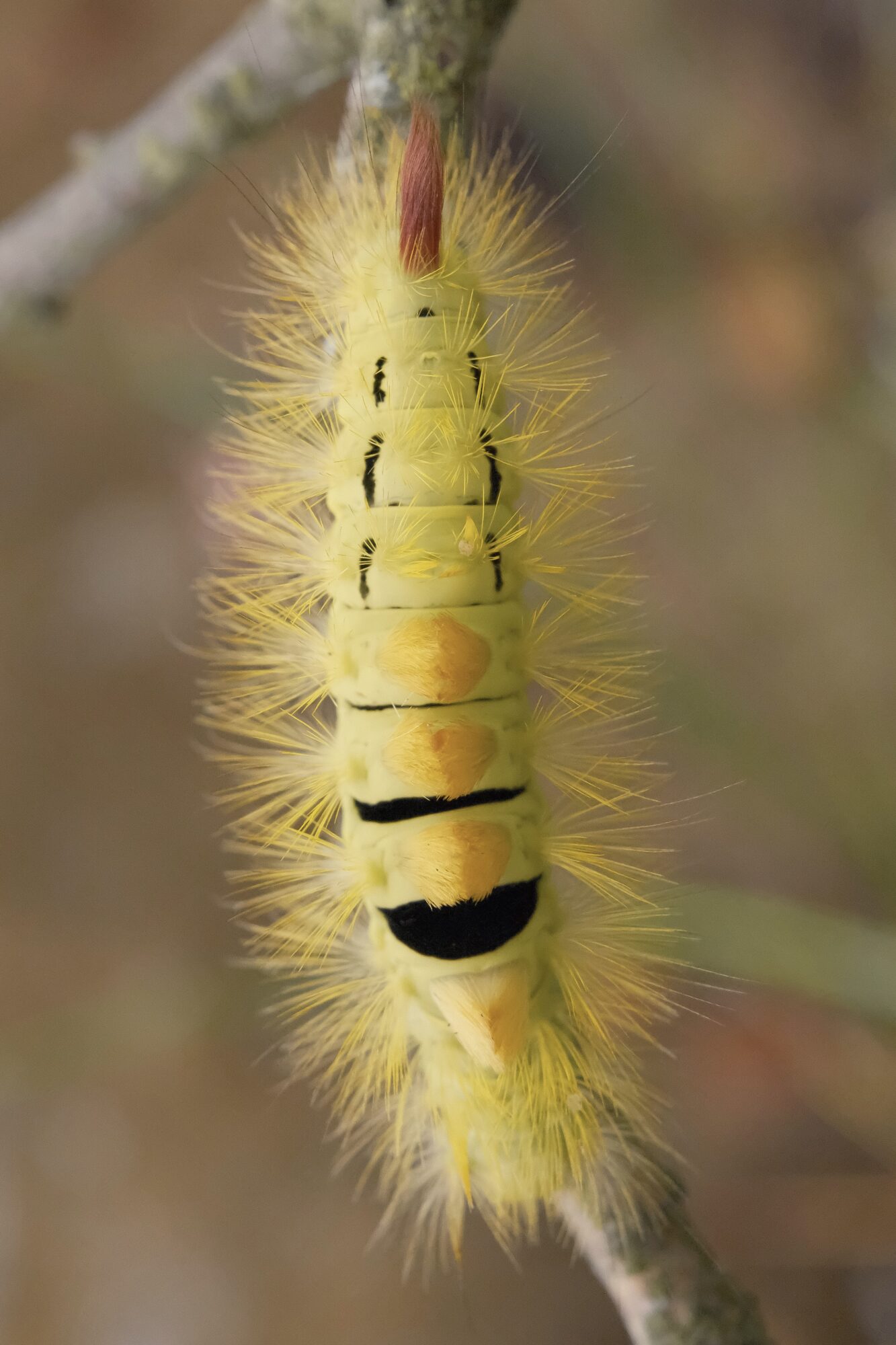 Valokuvaaja: Sampo Kiviniemi