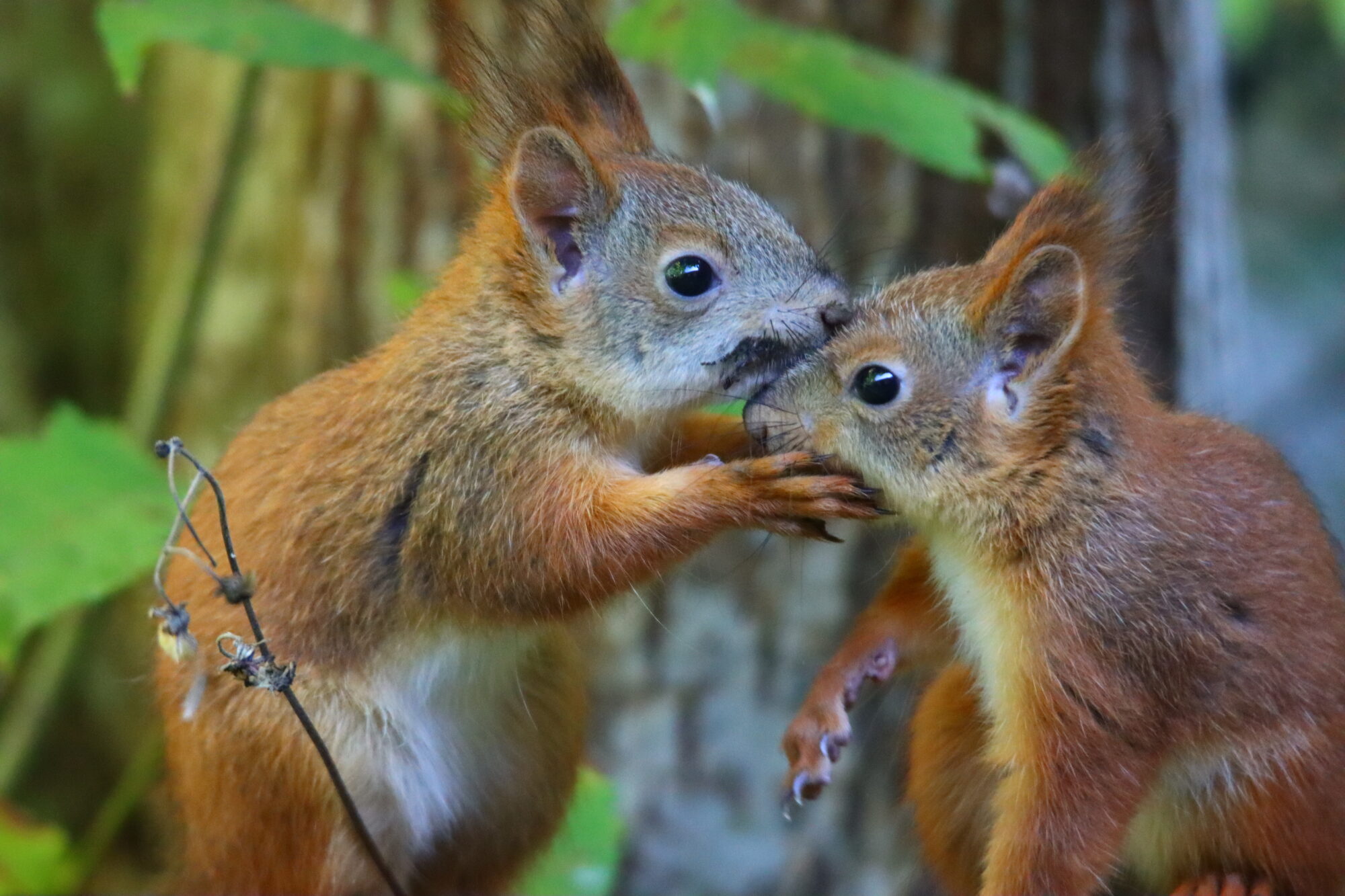 Valokuvaaja: Irja Lehtinen