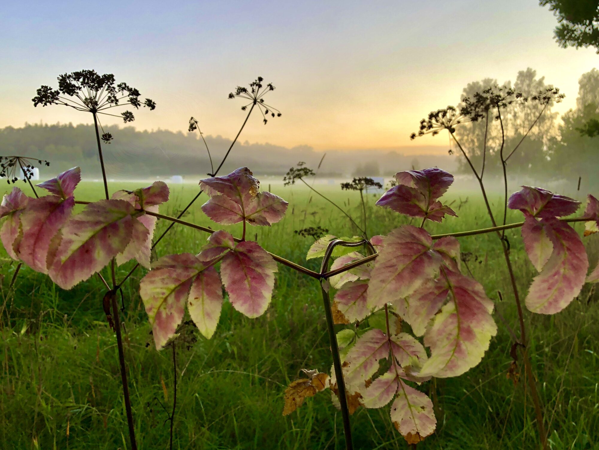 Valokuvaaja: Juhani Peltonen