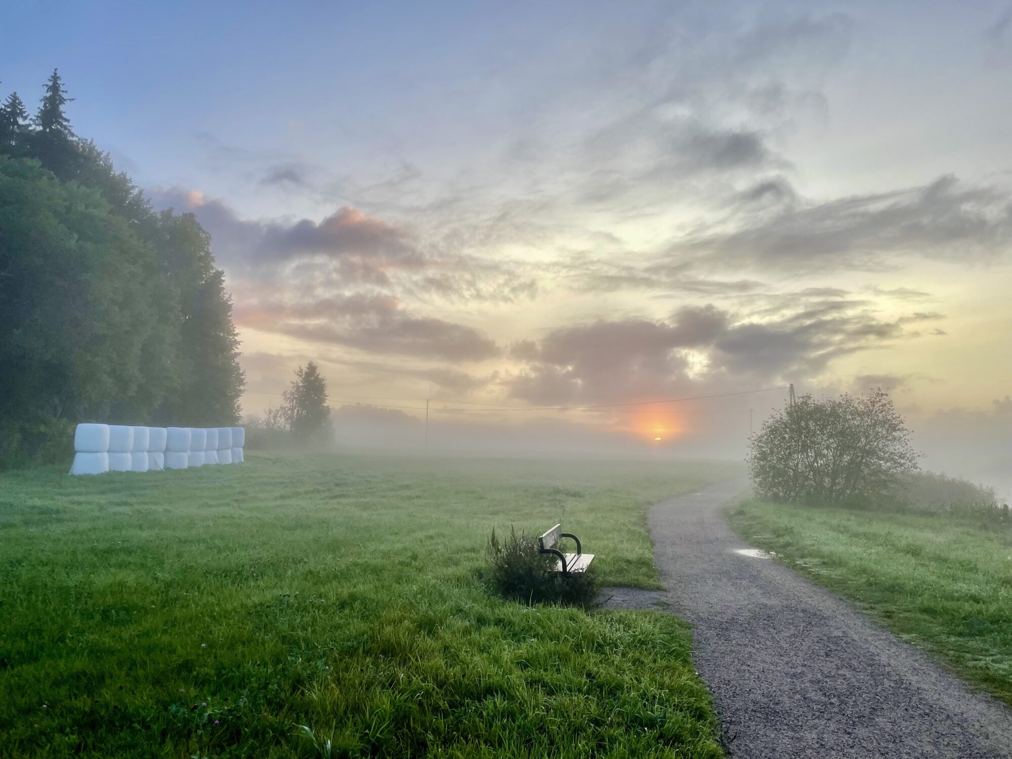 Valokuvaaja: Juhani Peltonen