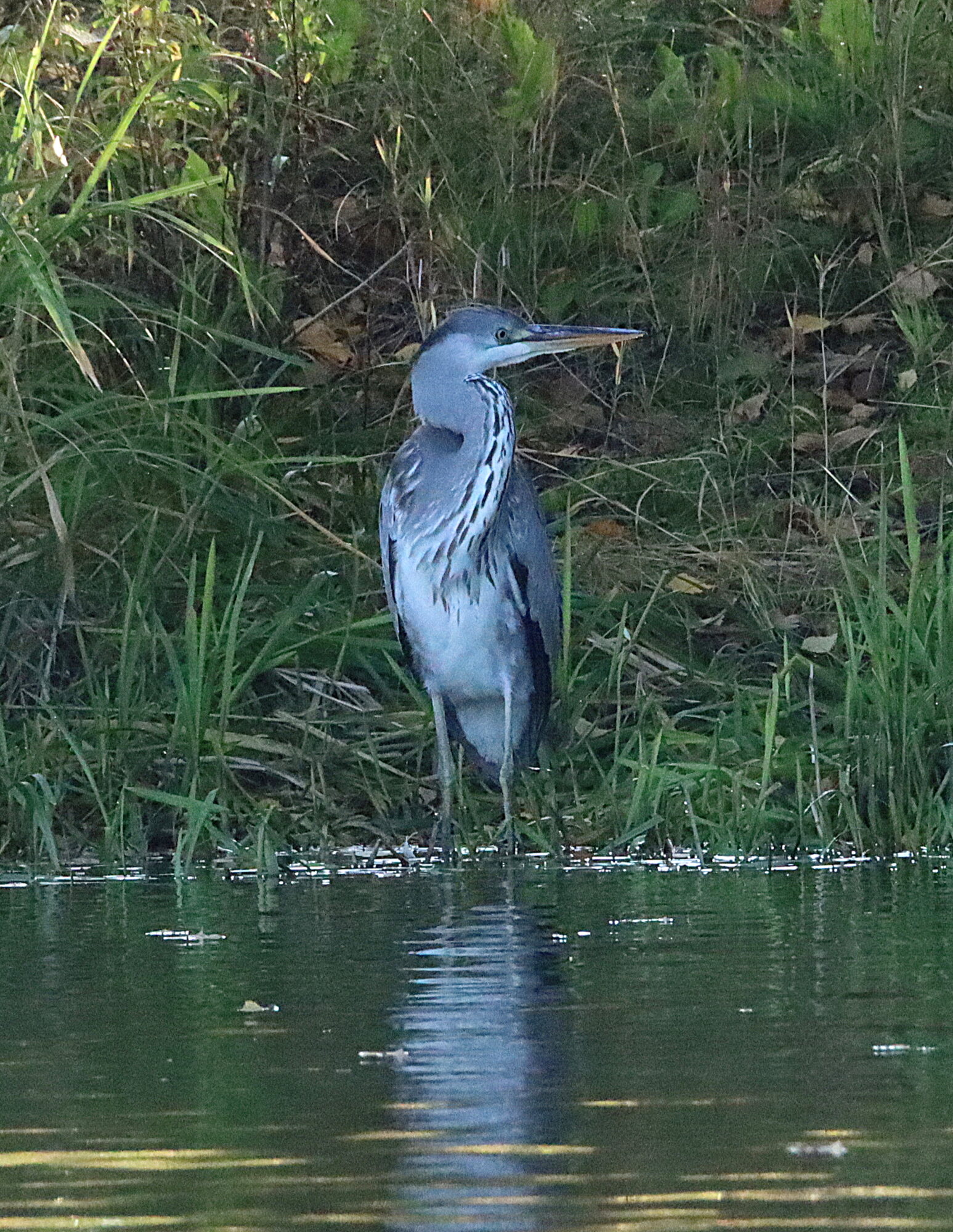 Valokuvaaja: Irja Lehtinen