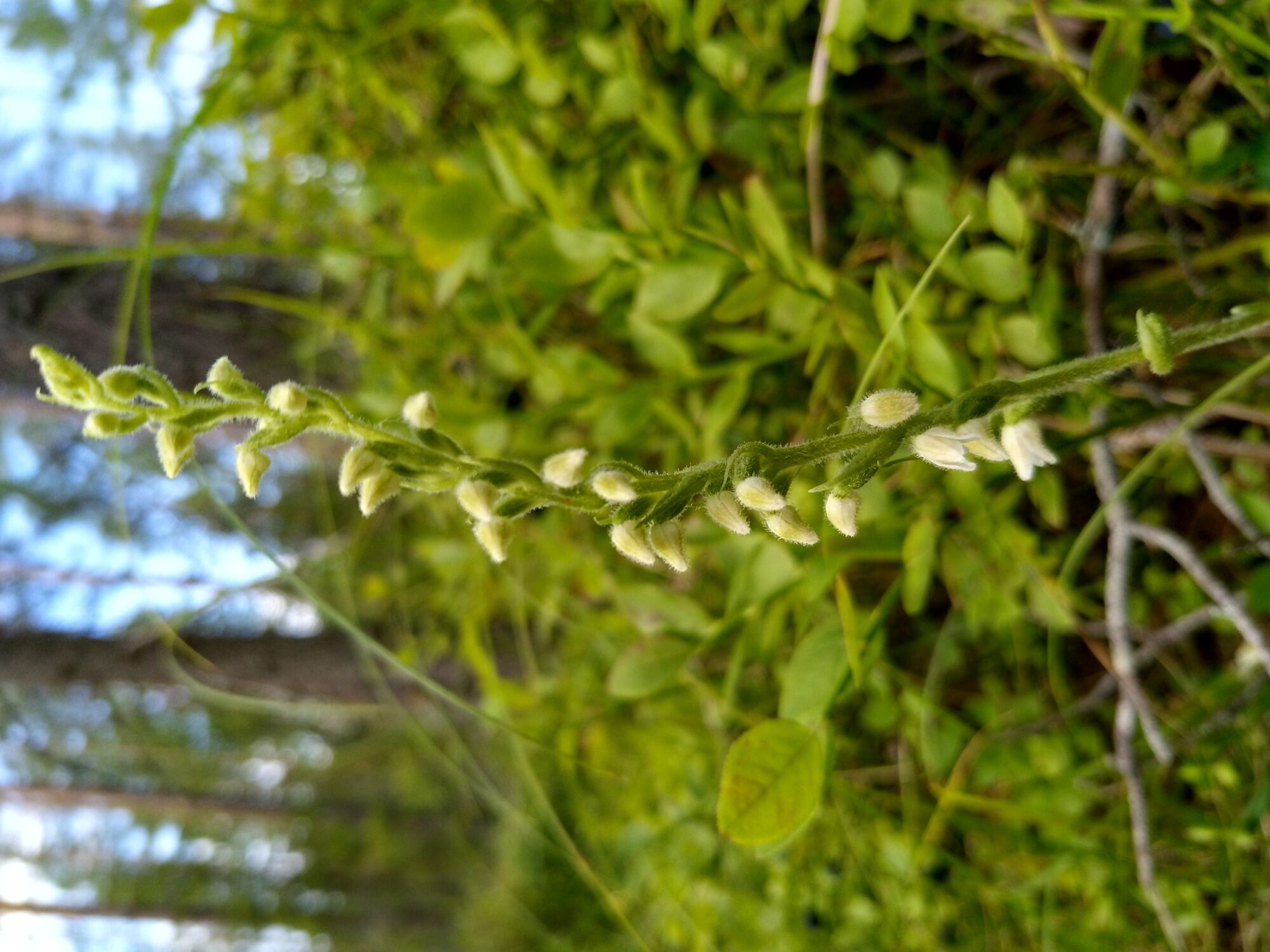 Valokuvaaja: Eija Suhonen