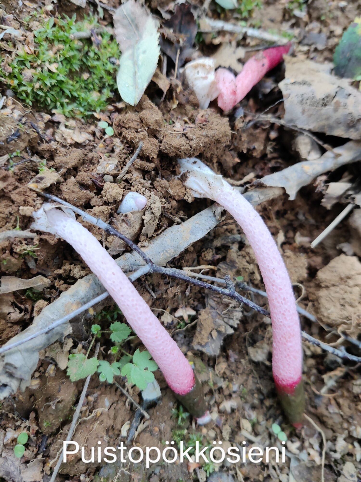 Valokuvaaja: Paavo Siukonen