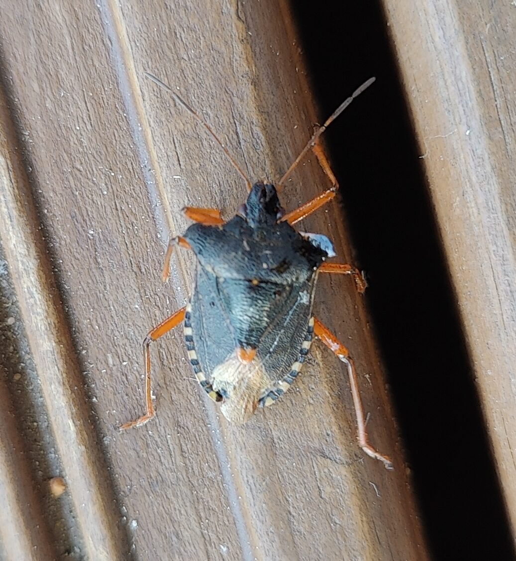 Valokuvaaja: Veikko Moilanen