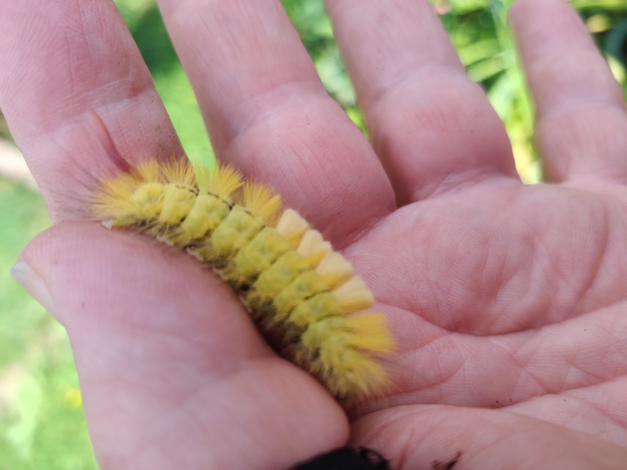 Valokuvaaja: Marja-Liisa Savolainen