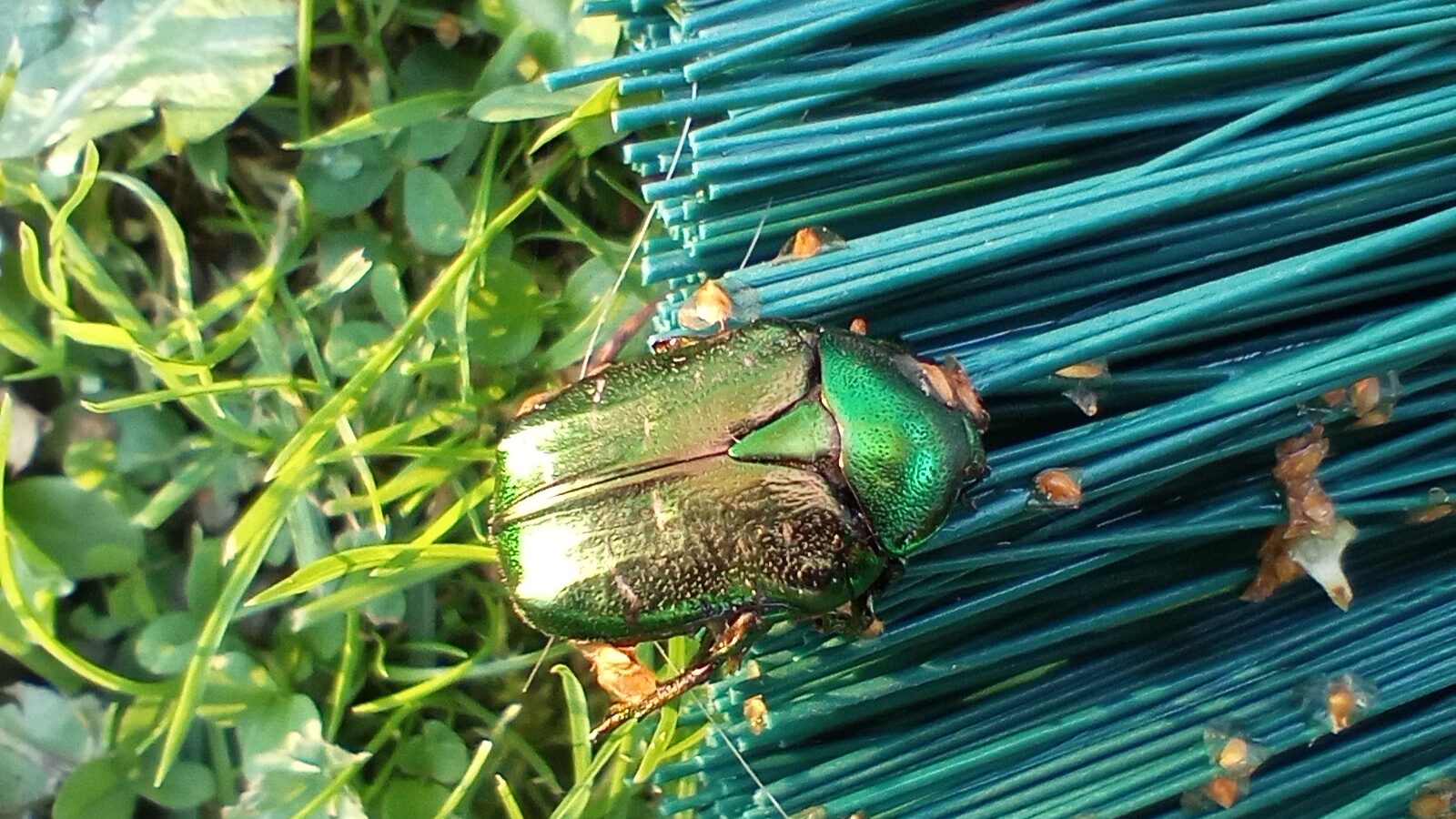 Valokuvaaja: Heli Lehtonen Valokuvaaja: Heli Lehtonen