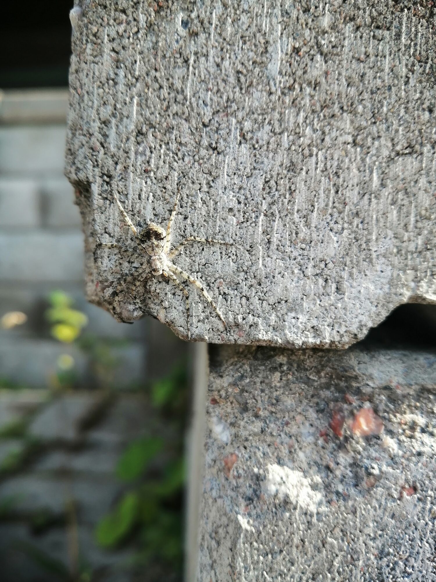 Valokuvaaja: Sari Ylönen