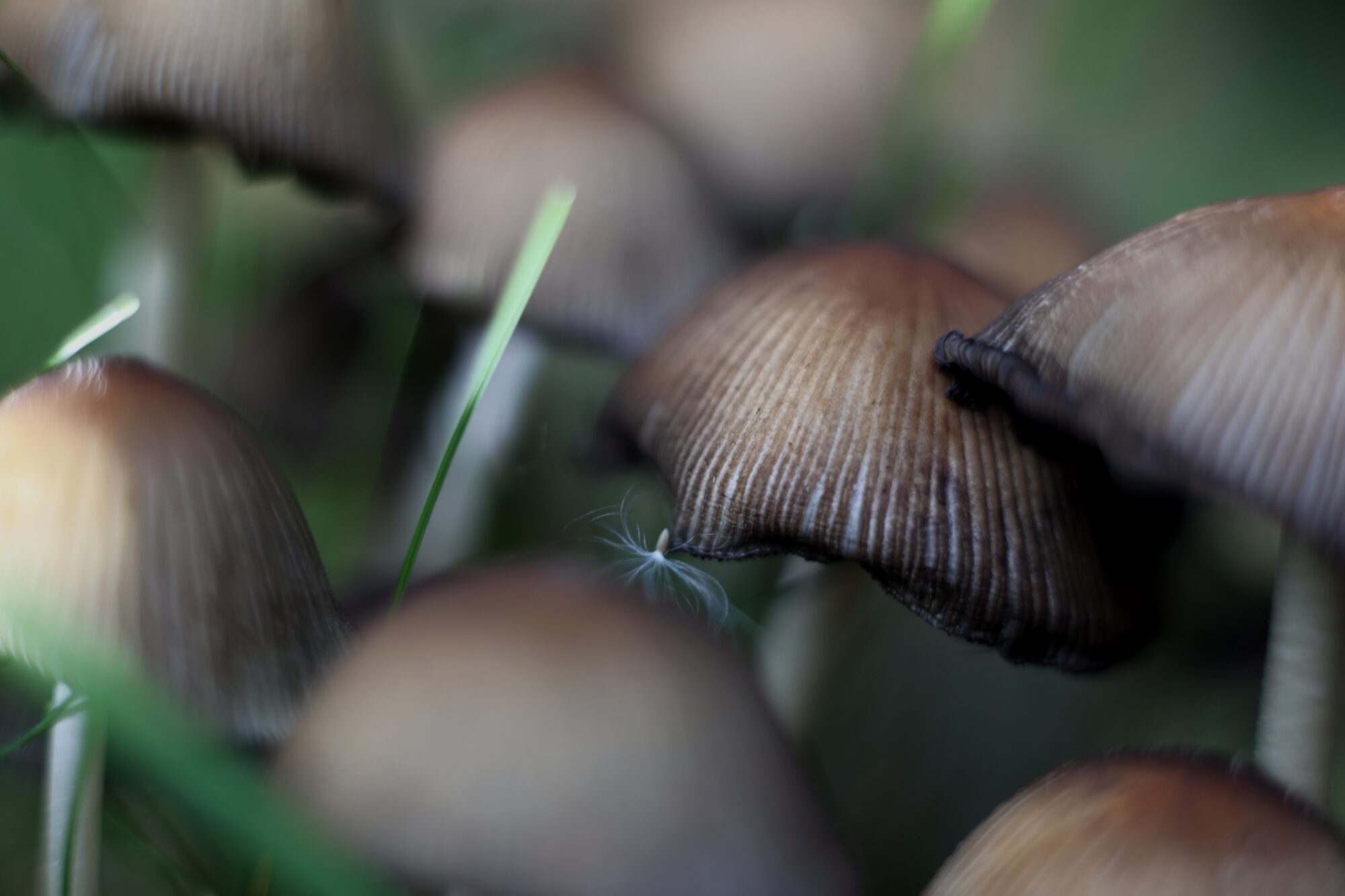 Valokuvaaja: Pasi Lähde Valokuvaaja: Pasi Lähde