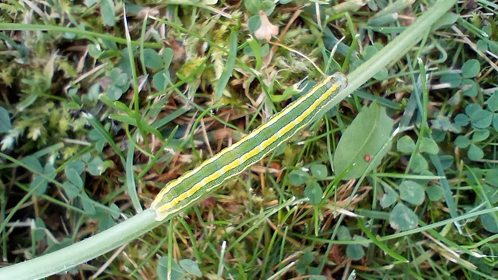 Valokuvaaja: Heli Lehtonen