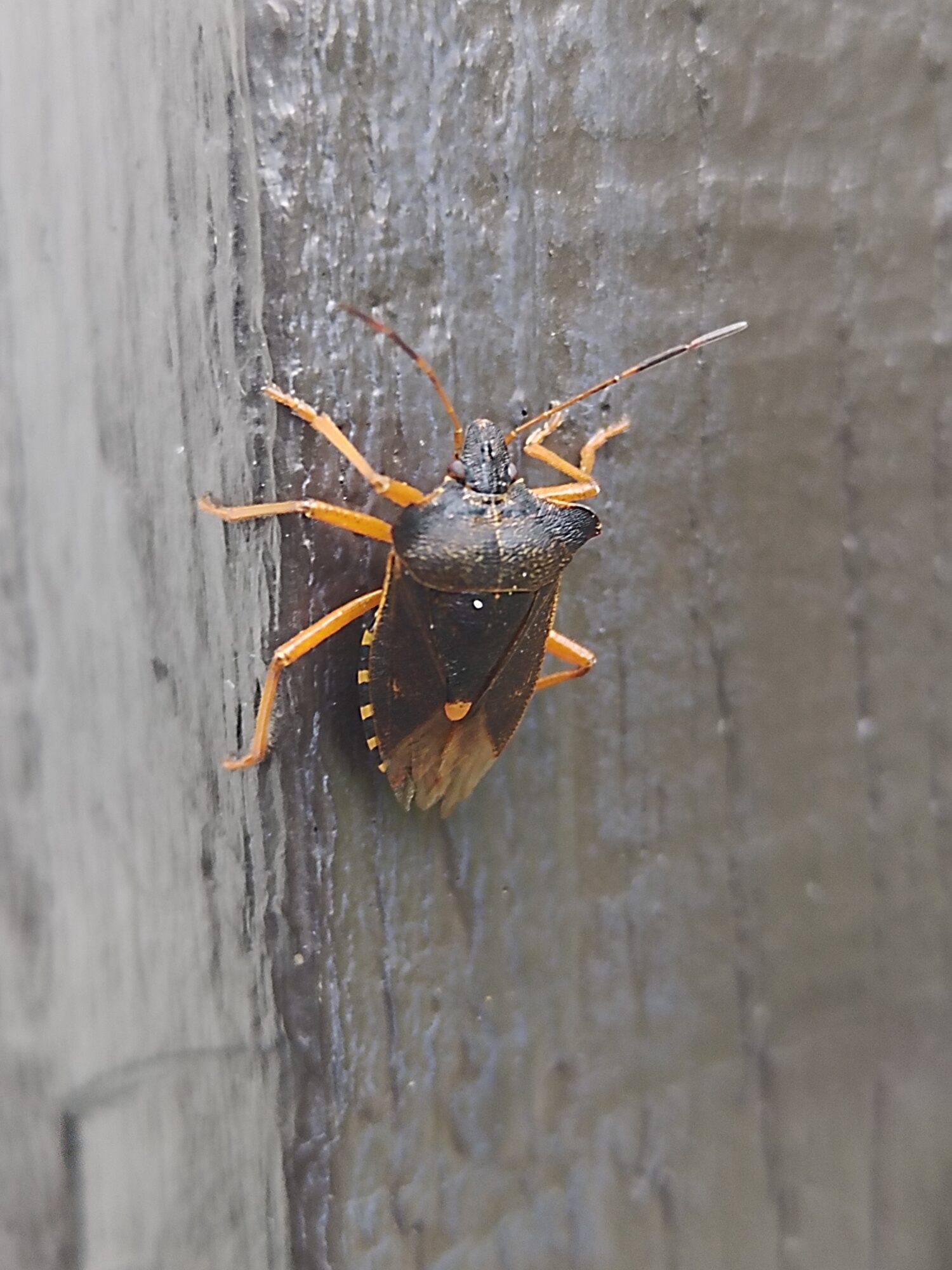 Valokuvaaja: Jouni Känsälä