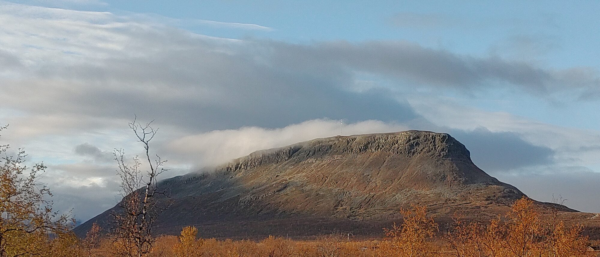Valokuvaaja: Ari-Pekka Kankaanpää