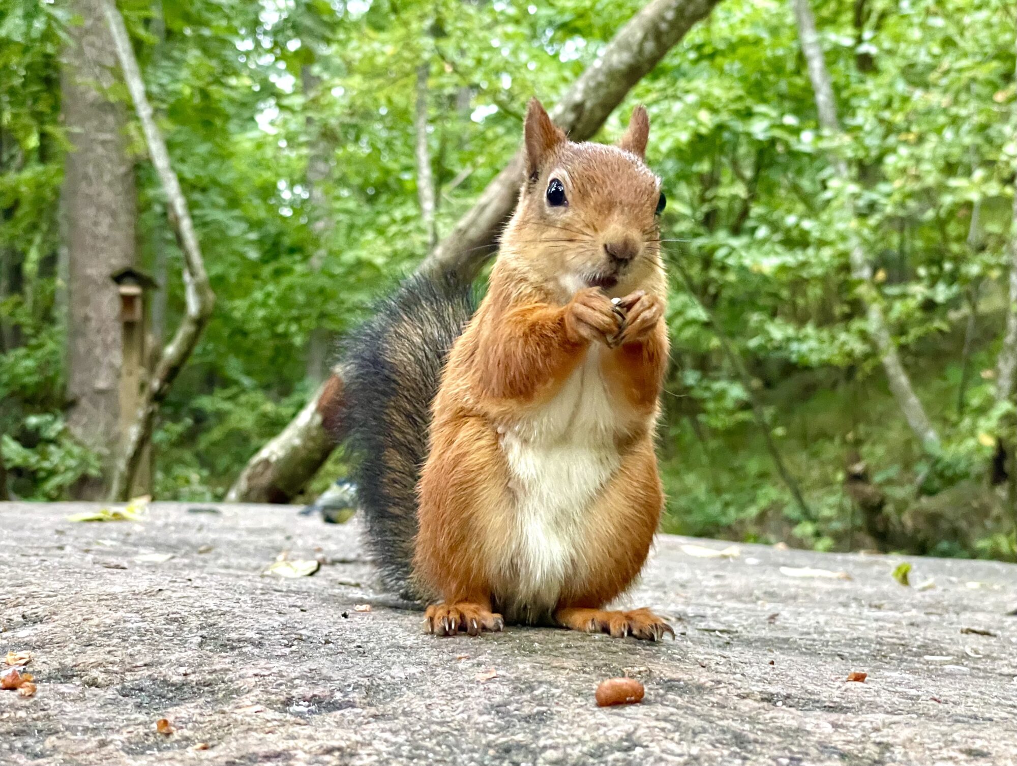 Valokuvaaja: Juhani Peltonen