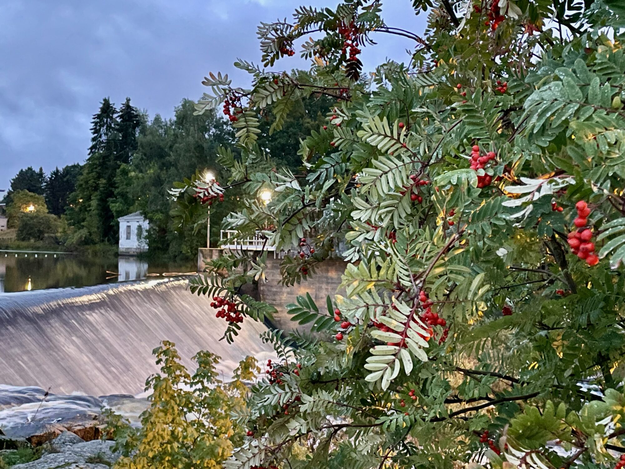 Valokuvaaja: Juhani Peltonen