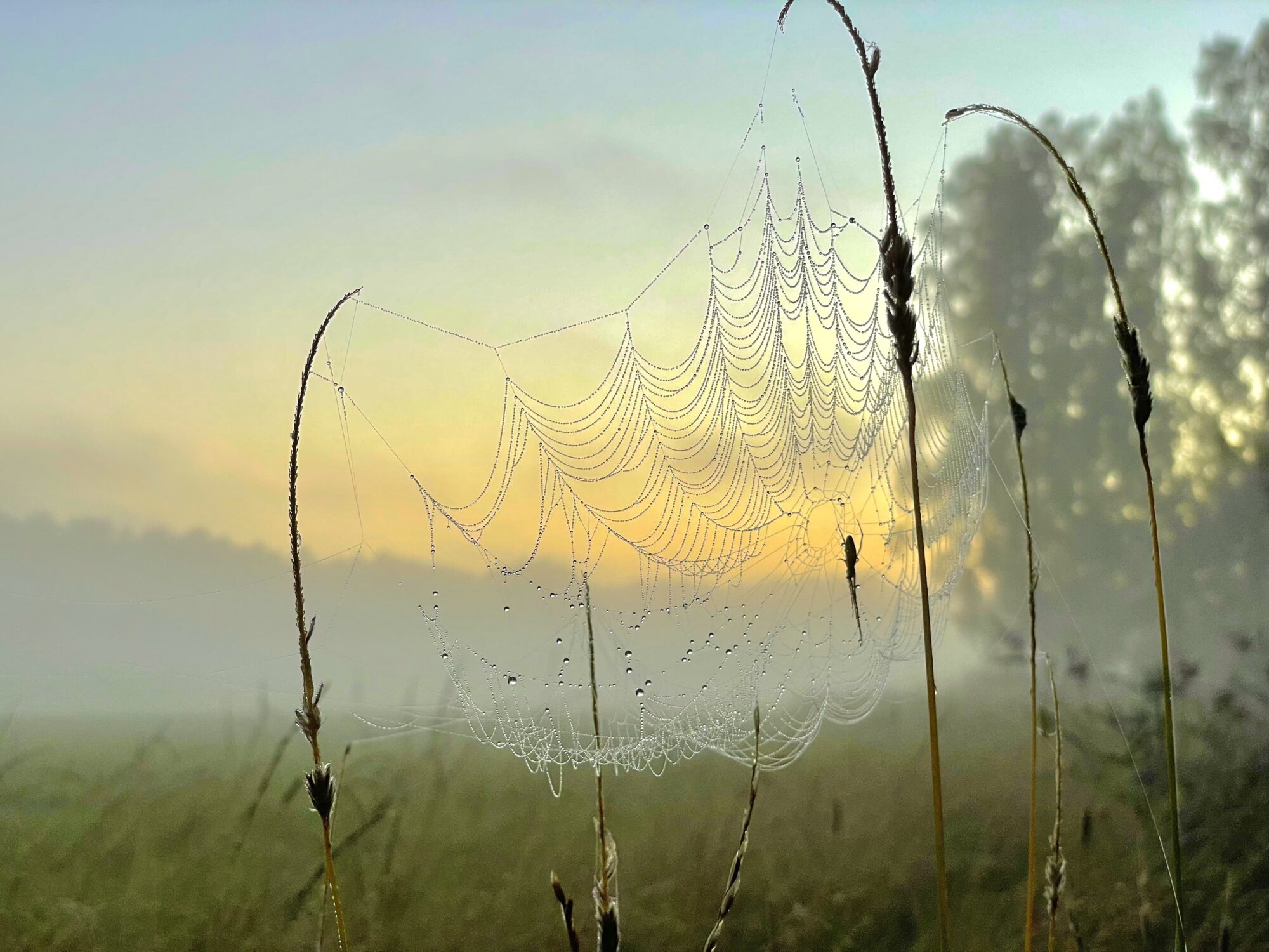 Valokuvaaja: Juhani Peltonen
