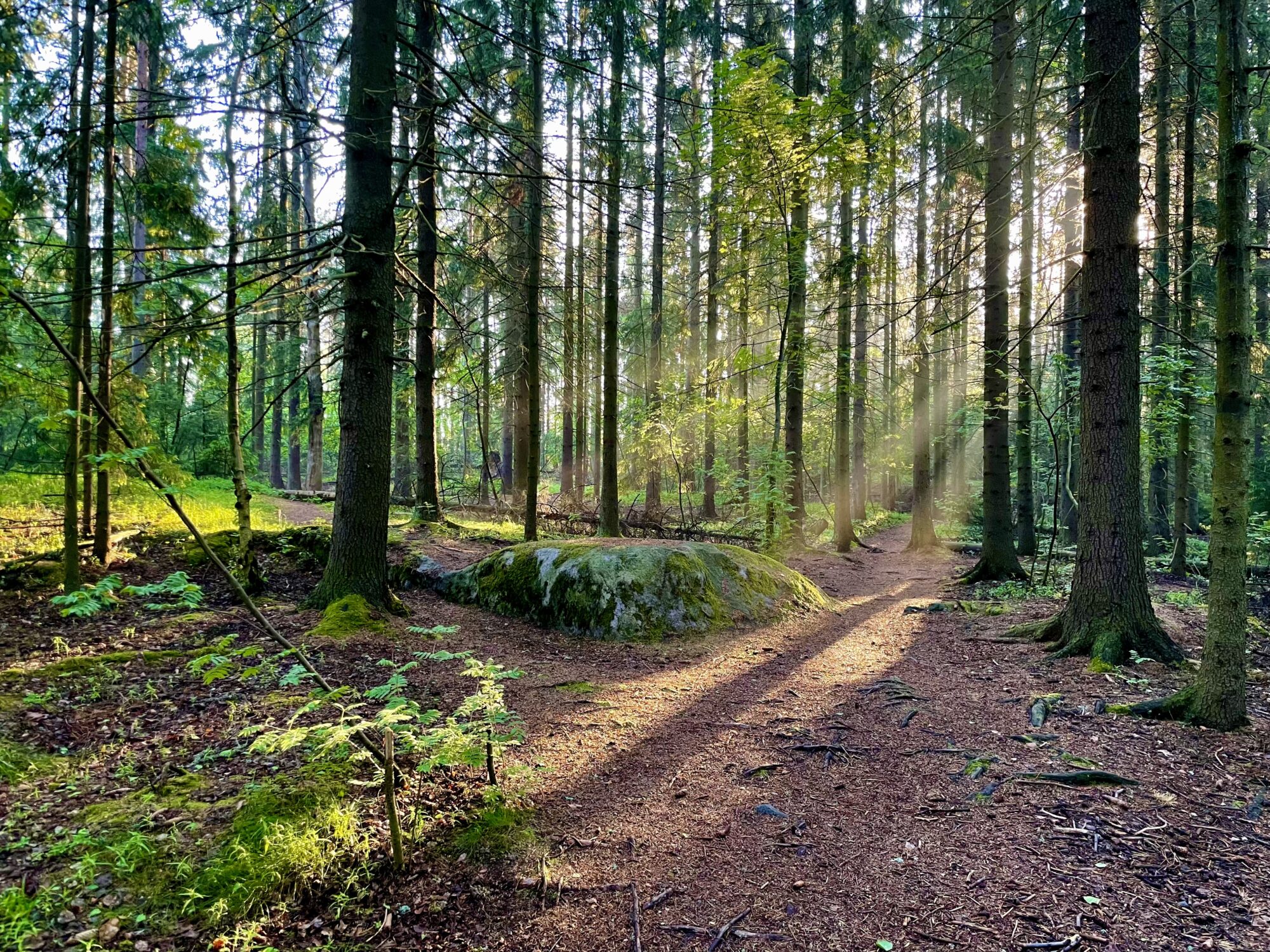 Valokuvaaja: Juhani Peltonen