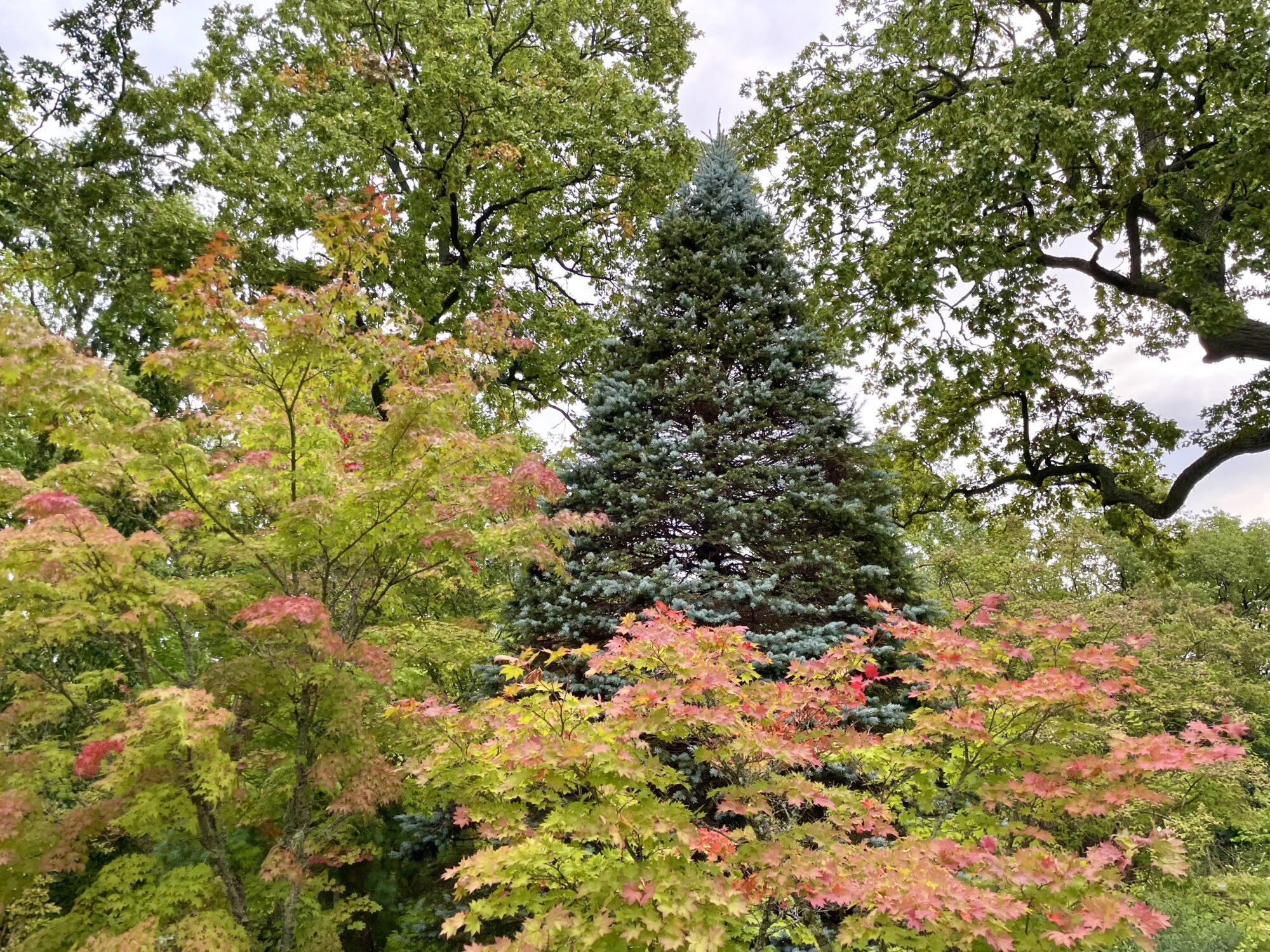 Valokuvaaja: Juhani Peltonen Valokuvaaja: Juhani Peltonen