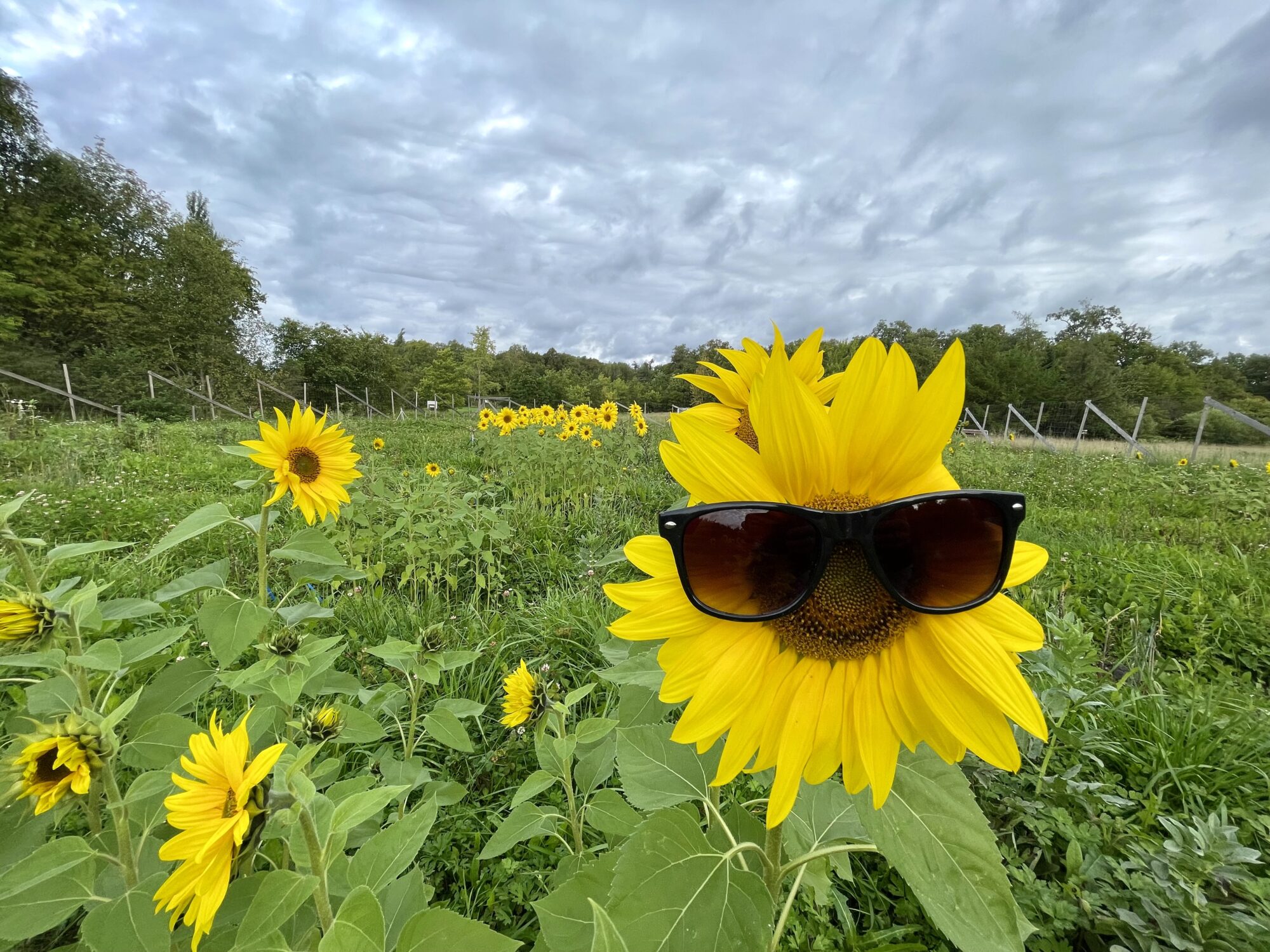 Valokuvaaja: Juhani Peltonen