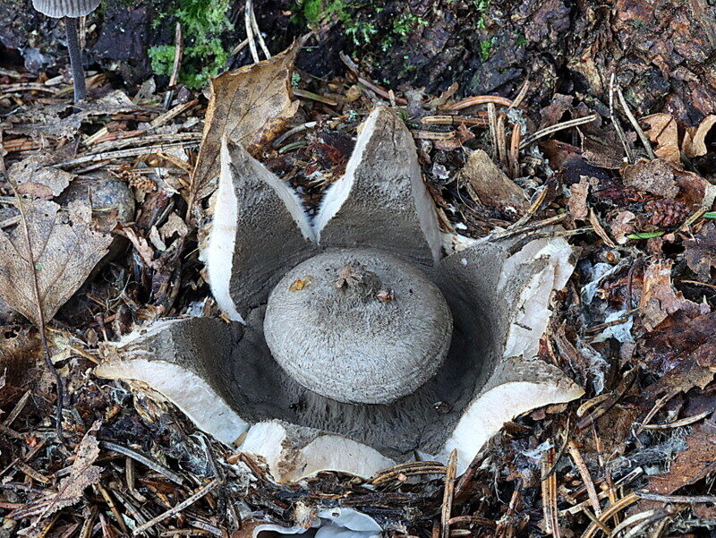 Valokuvaaja: Hannu Rasiranta