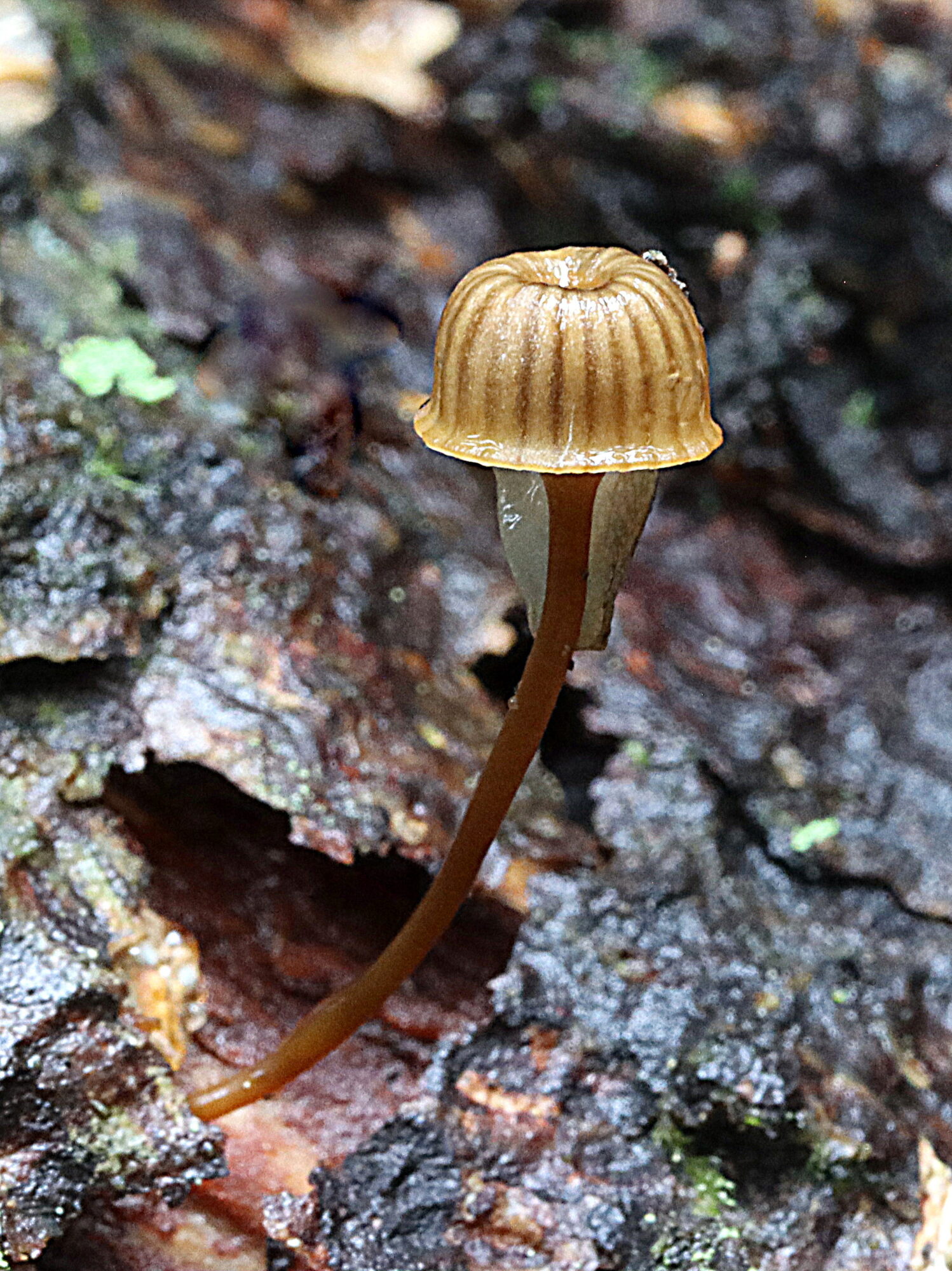 Valokuvaaja: Hannu Rasiranta