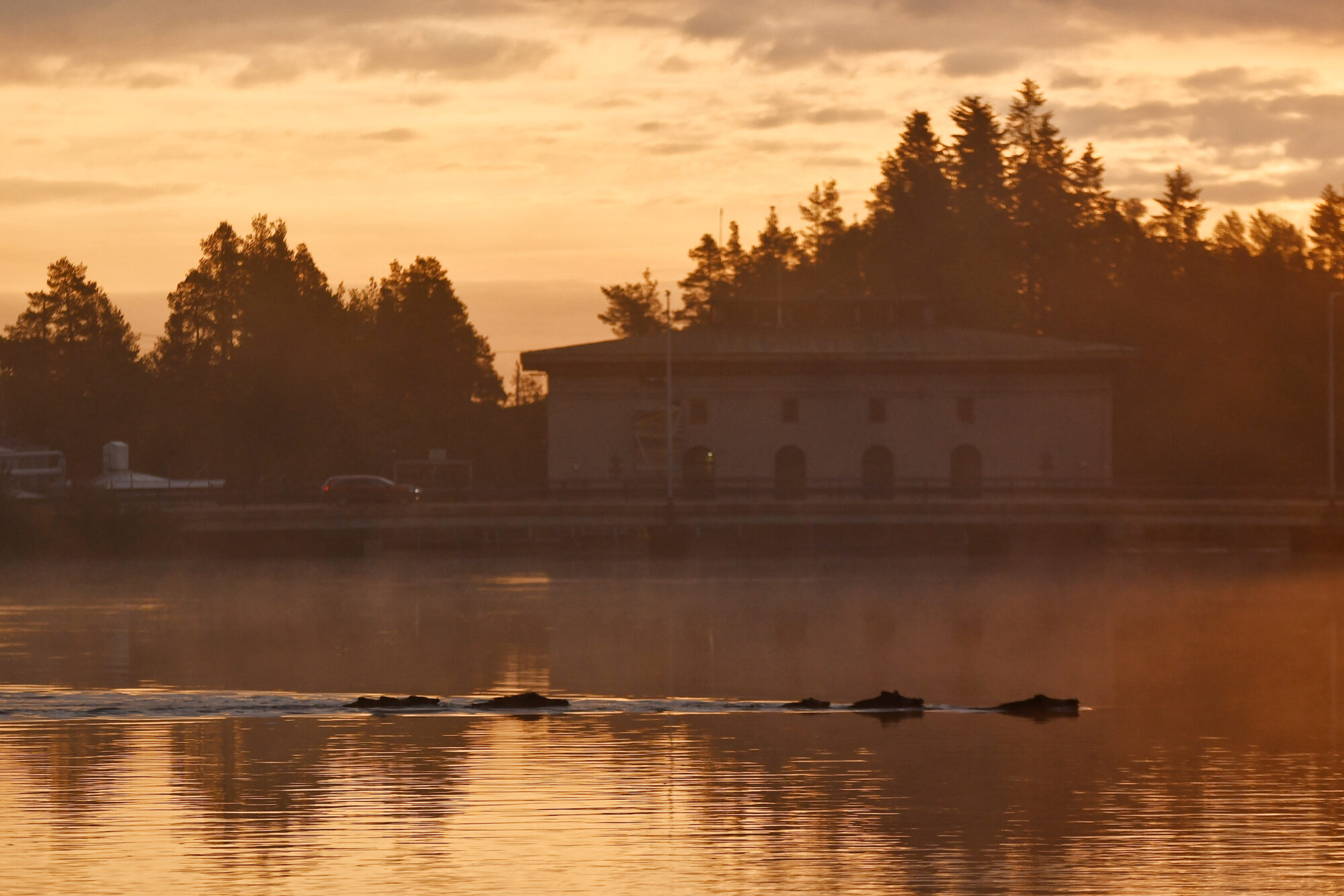 Valokuvaaja: Kati Kilpeläinen Valokuvaaja: Kati Kilpeläinen