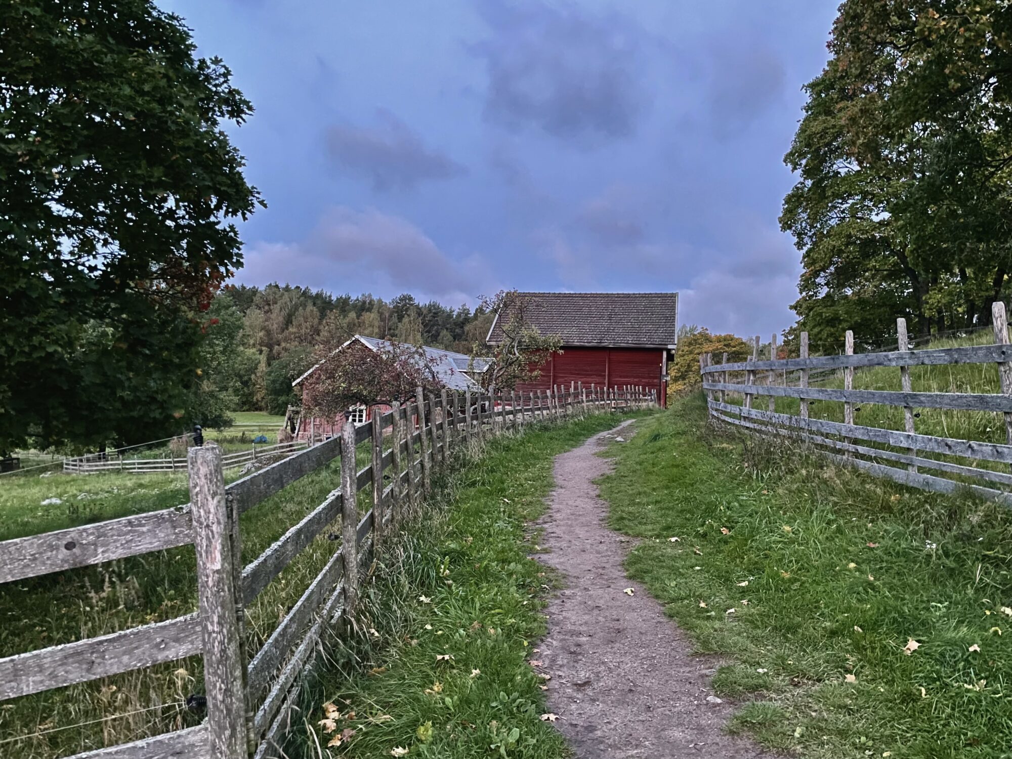 Valokuvaaja: Juhani Peltonen