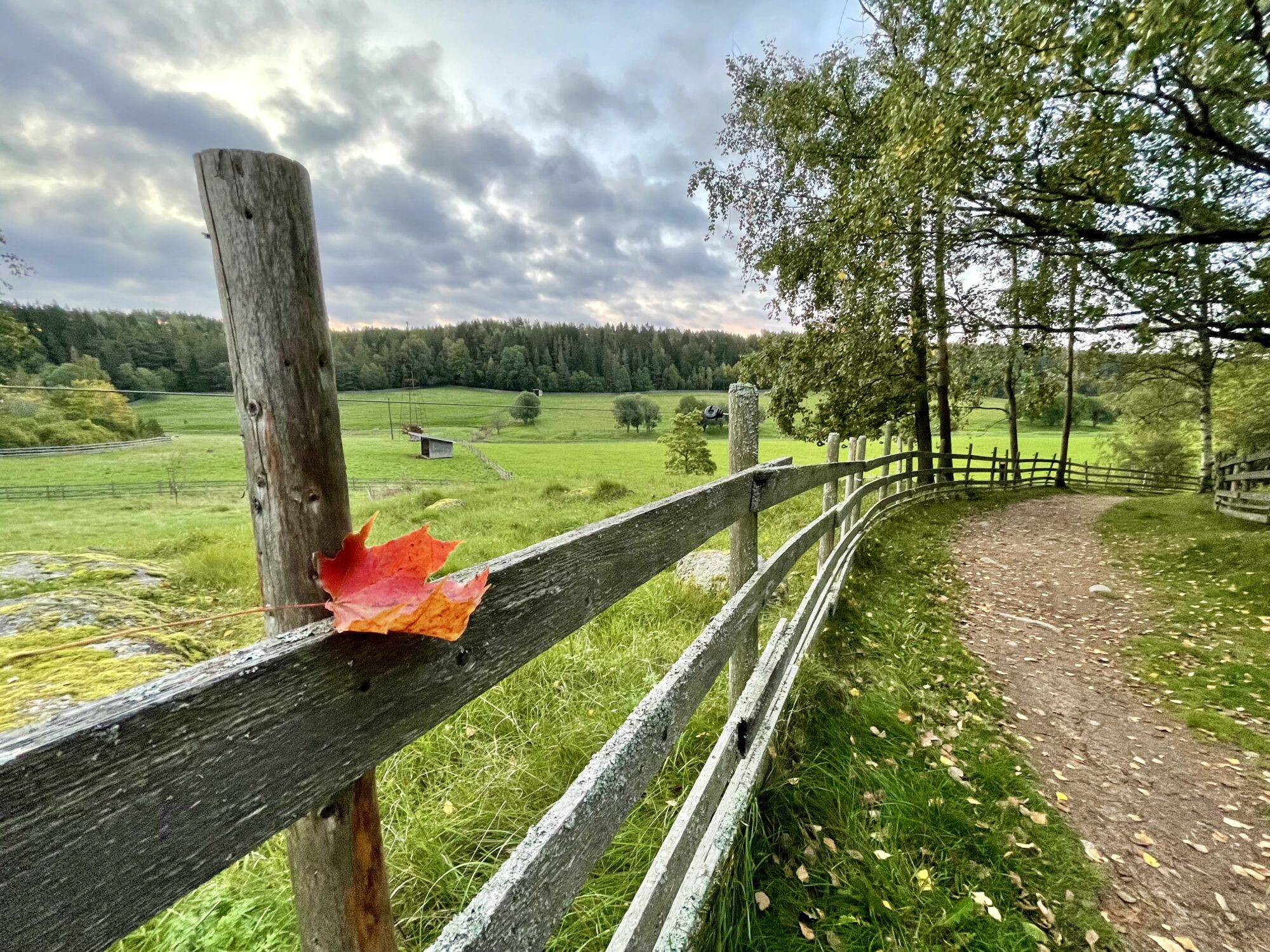 Valokuvaaja: Juhani Peltonen