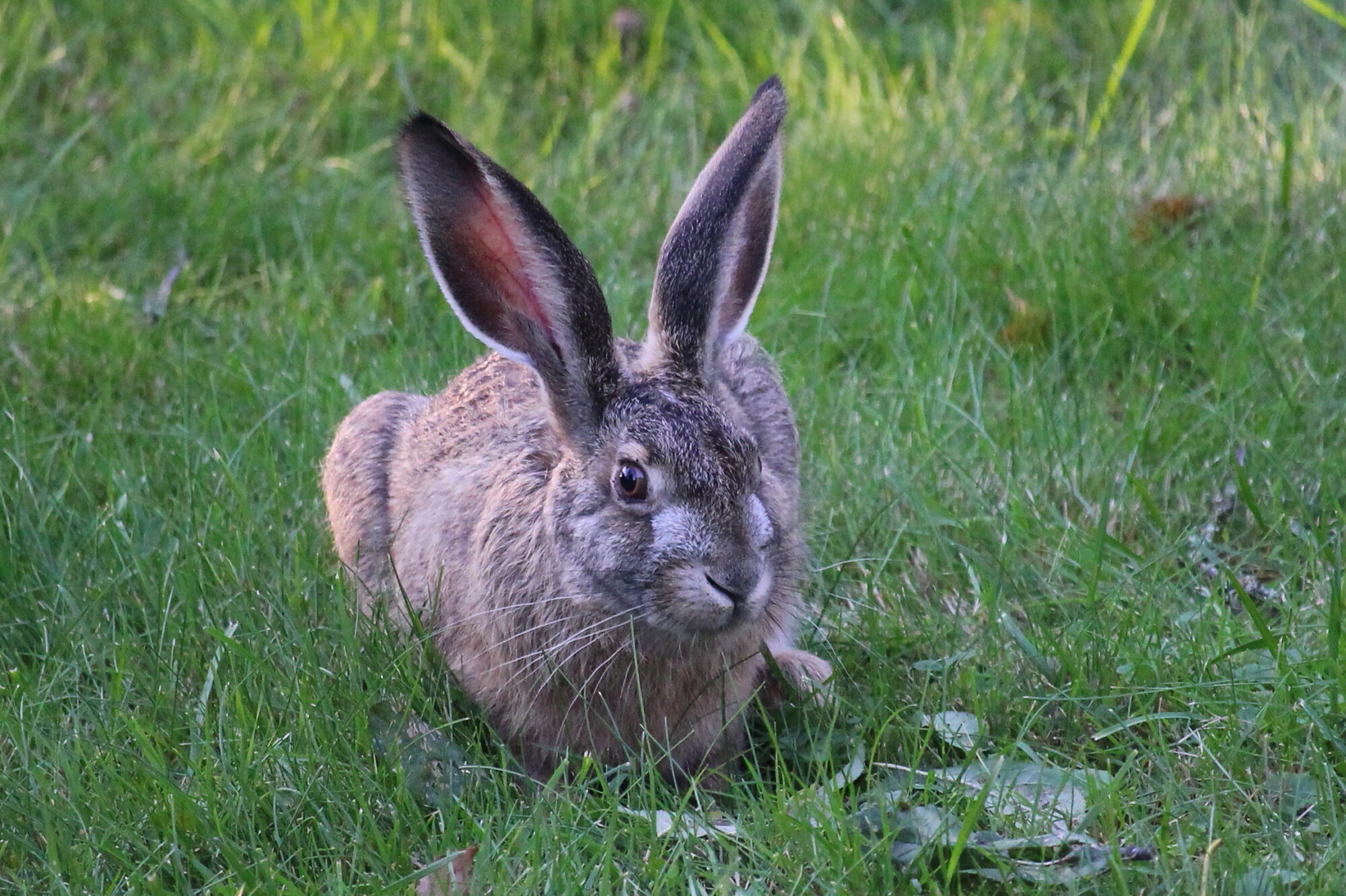 Valokuvaaja: Kirsi-Marja Joenpolvi