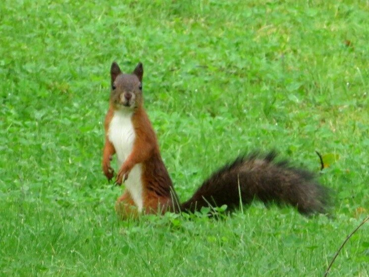 Valokuvaaja: Risto Kangassalo