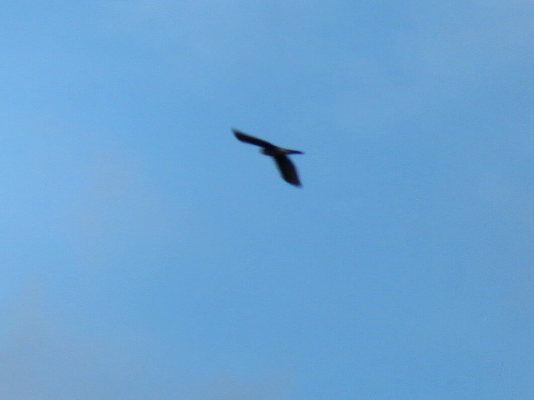 Valokuvaaja: Risto Kangassalo