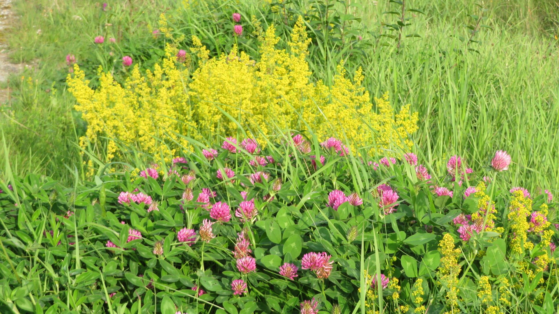 Valokuvaaja: Risto Kangassalo