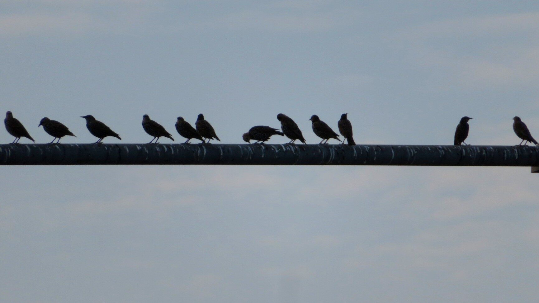 Valokuvaaja: Risto Kangassalo