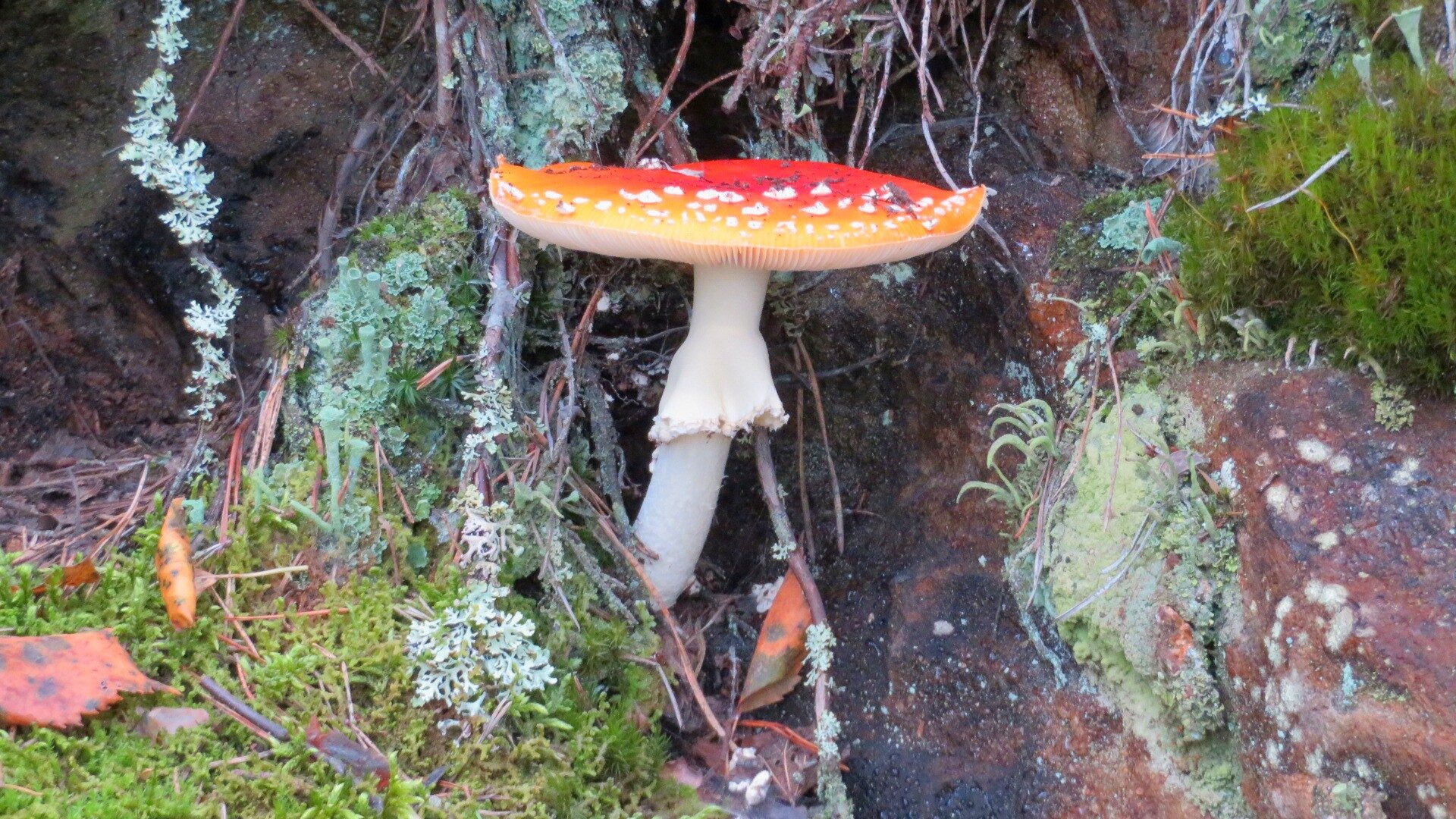 Valokuvaaja: Risto Kangassalo